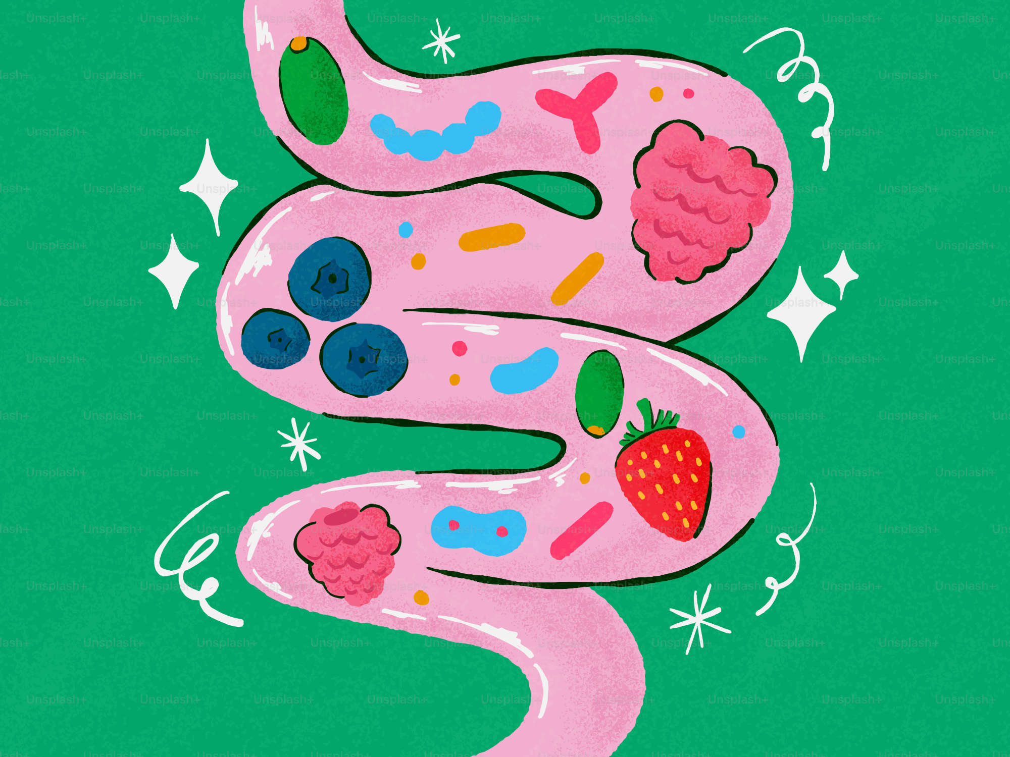 Ilustración de tripas rosadas con bayas y microbios sobre fondo verde