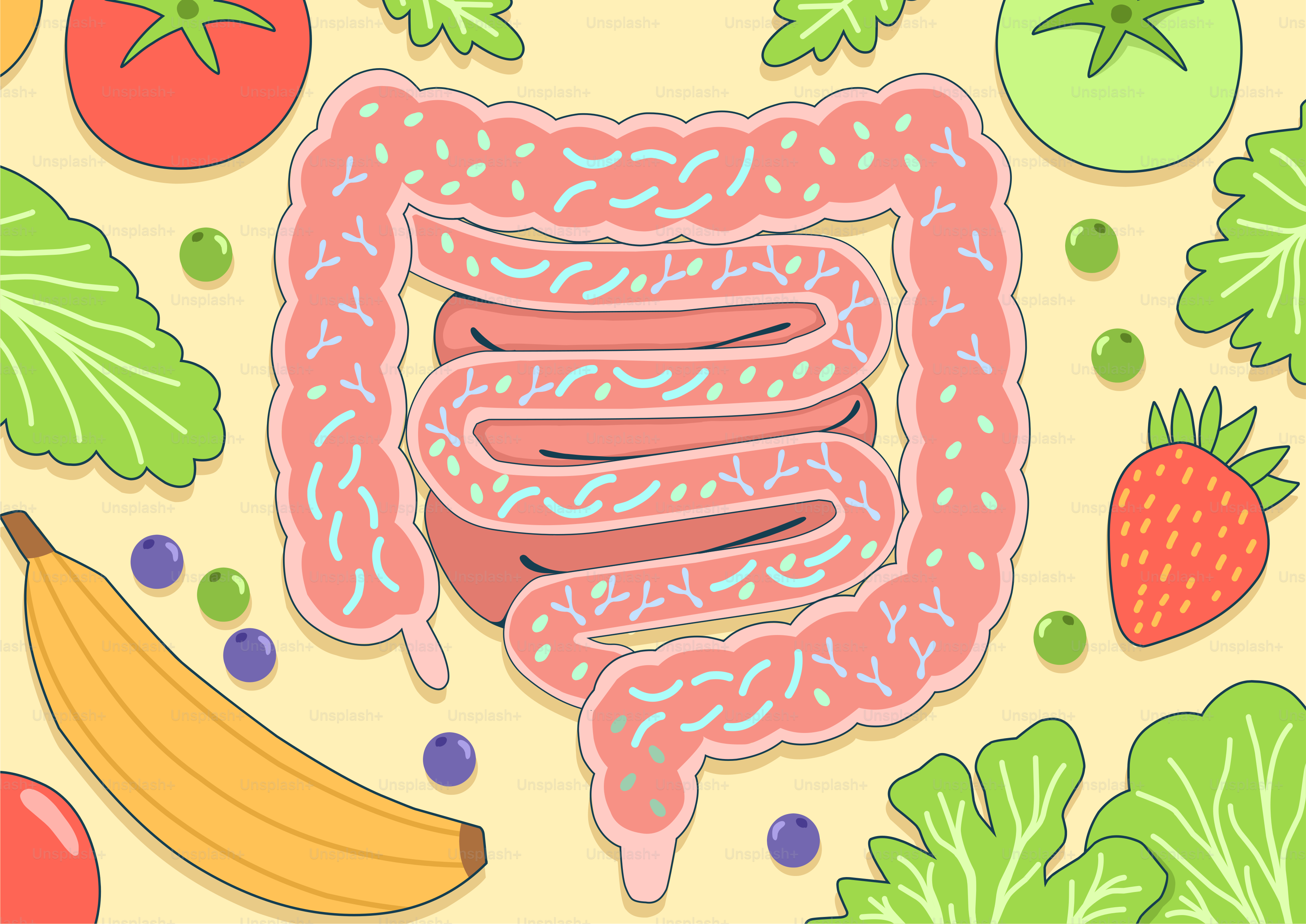 Healthy digestive system with fruits and vegetables