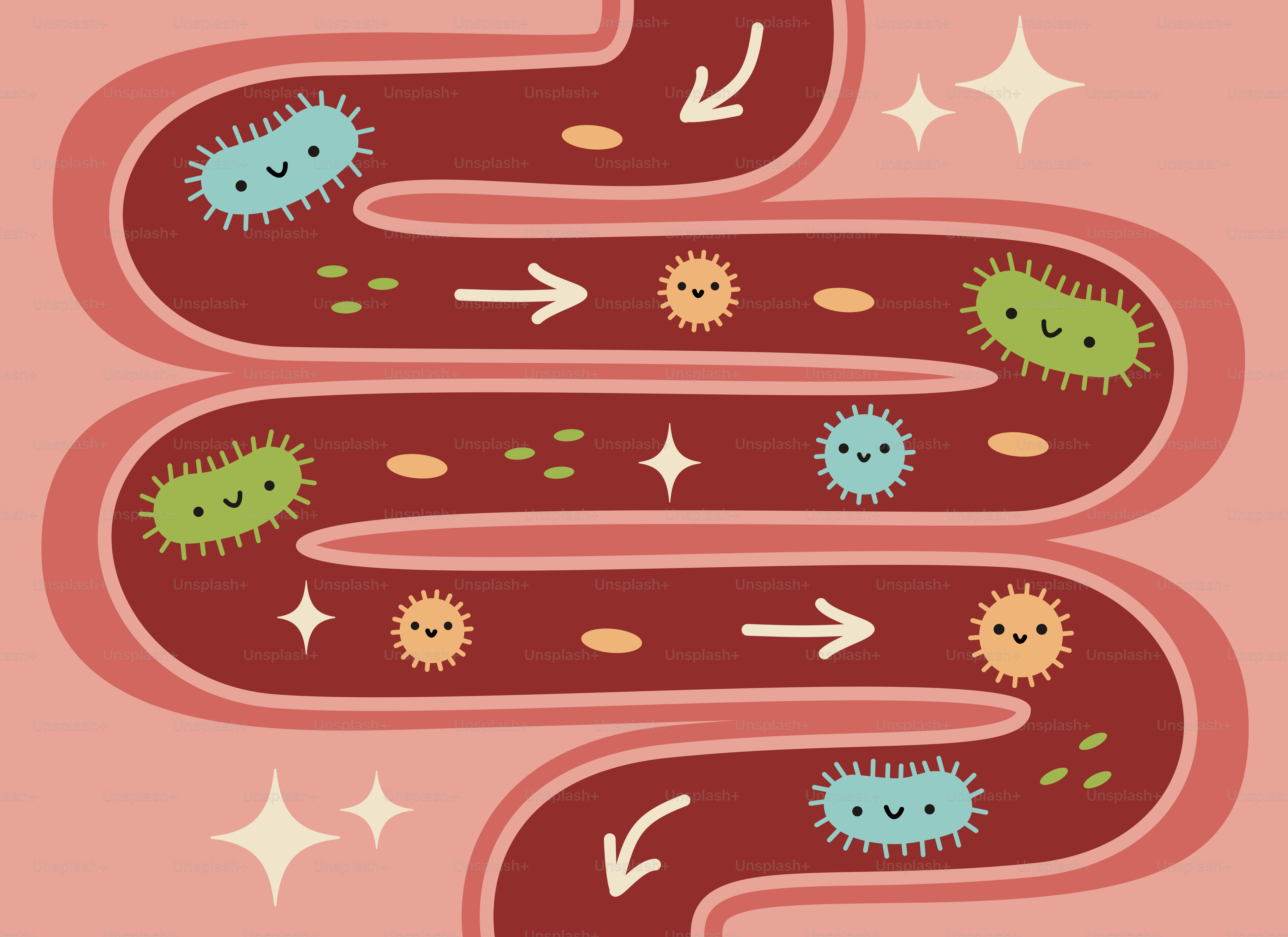 Microborganismos intestinais de desenho animado se movendo pelos intestinos com flechas.
