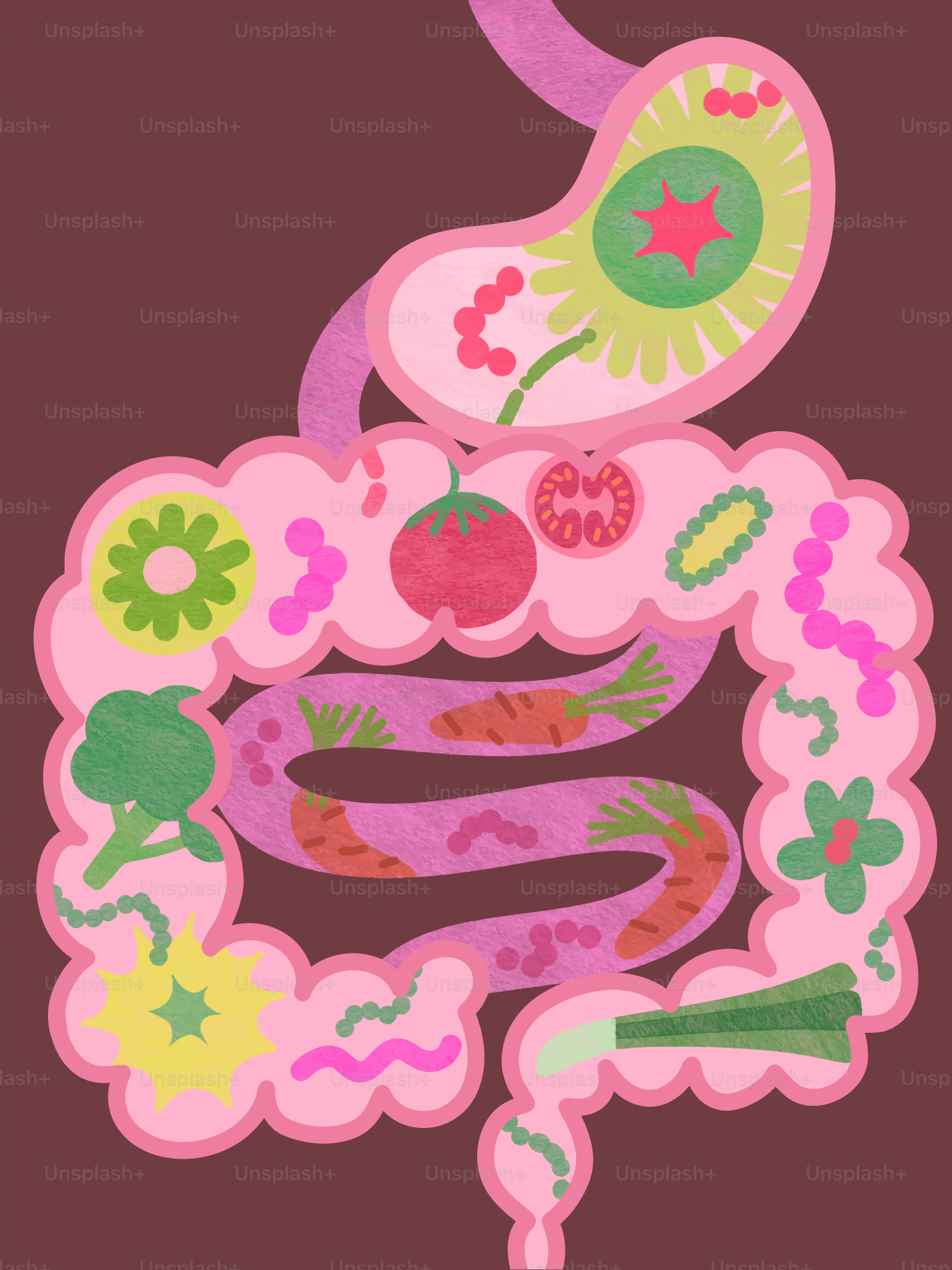 Sistem pencernaan dengan makanan sehat dan mikroba