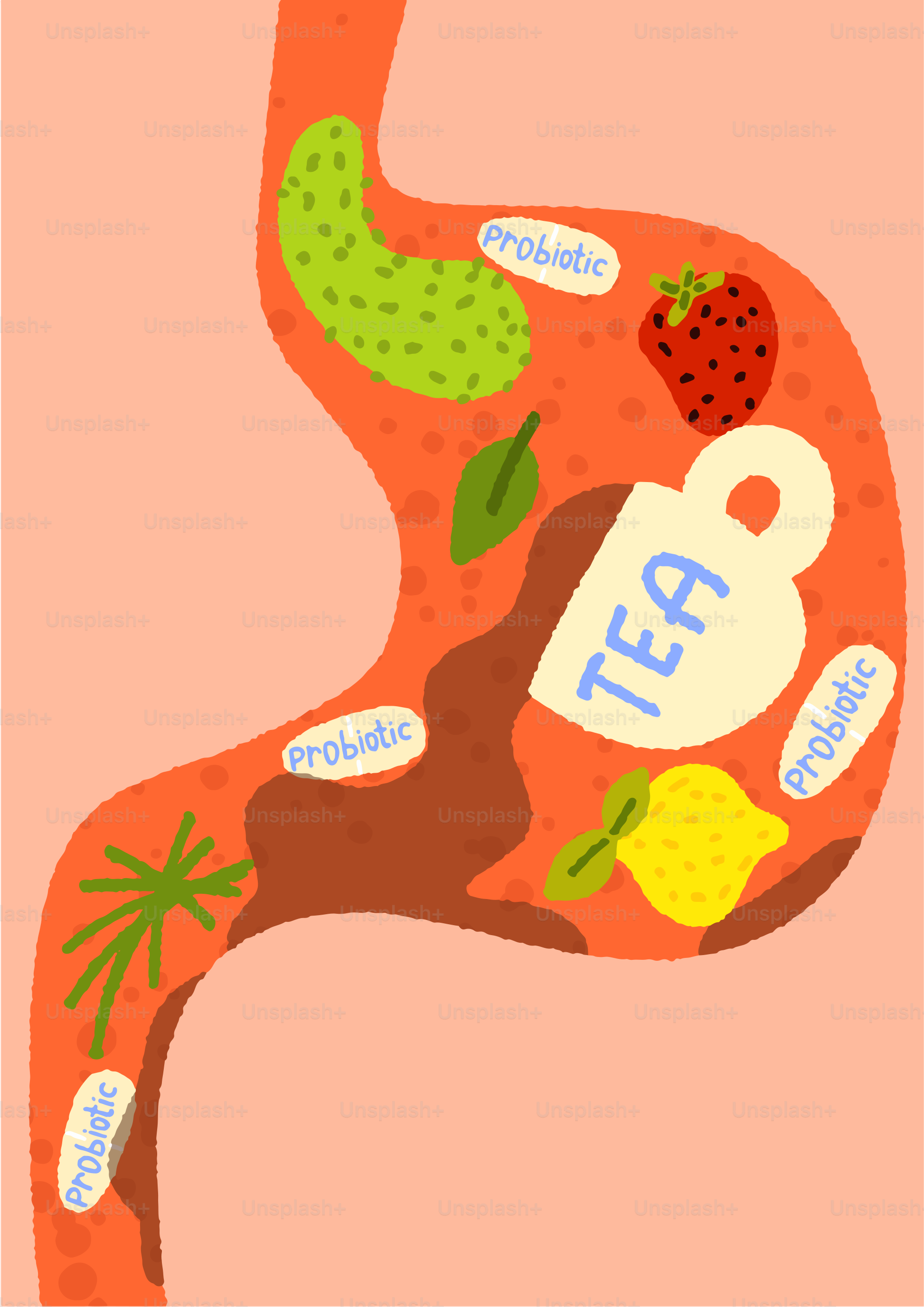 Estômago com probióticos, chá, frutas e vegetais.