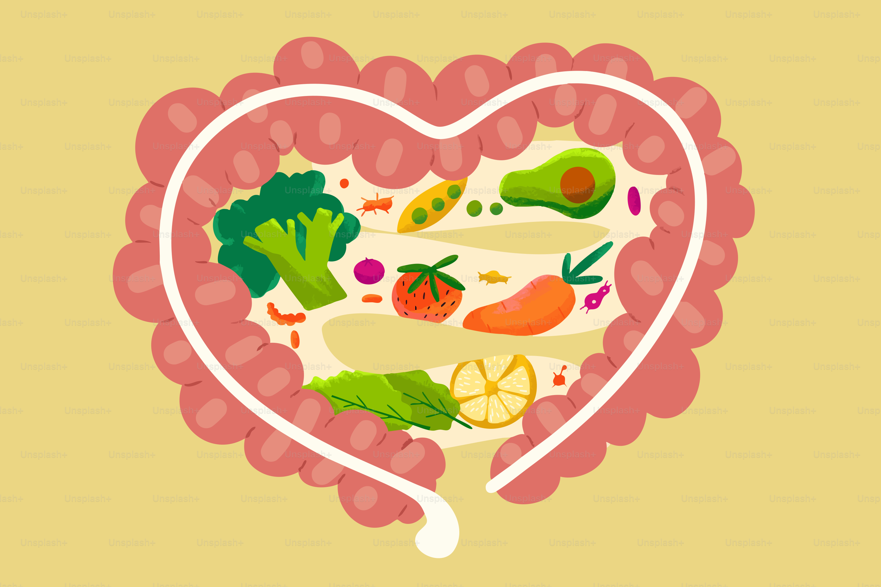 Intestino sano pieno di verdure e frutta fresche