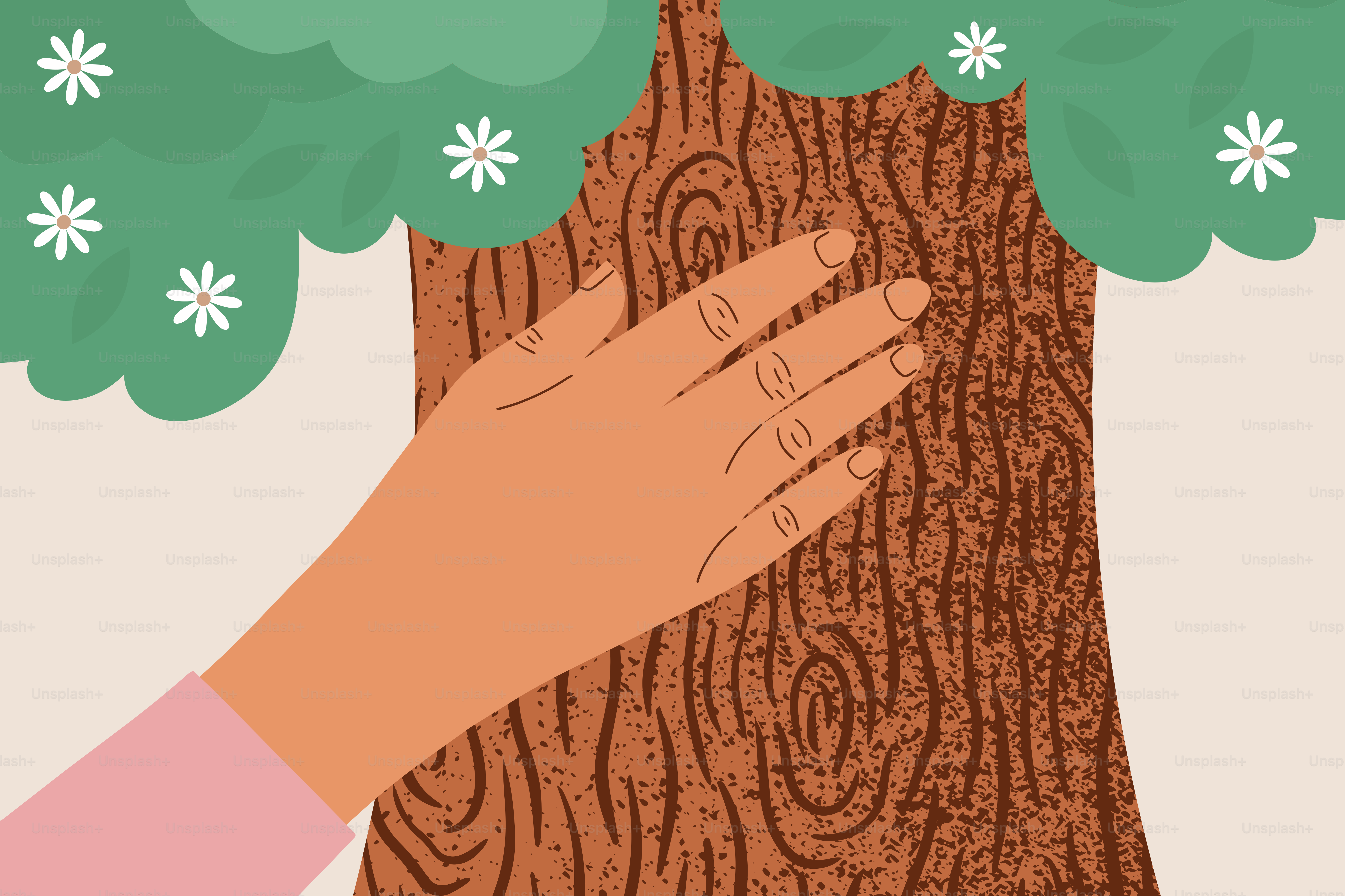 Toucher la main à l’écorce texturée d’un grand arbre.