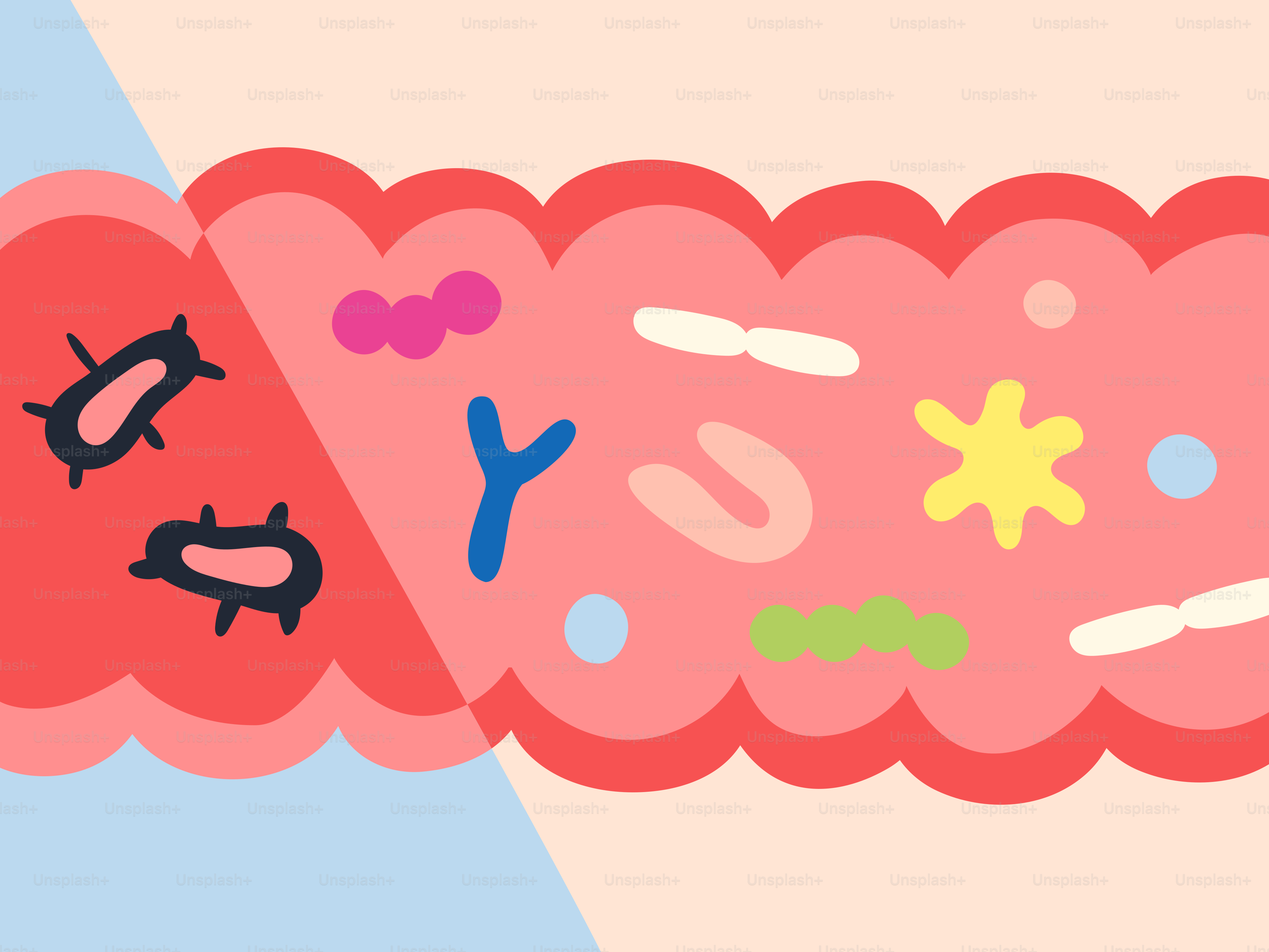 Representación caricaturesca de bacterias intestinales sanas y patógenos.