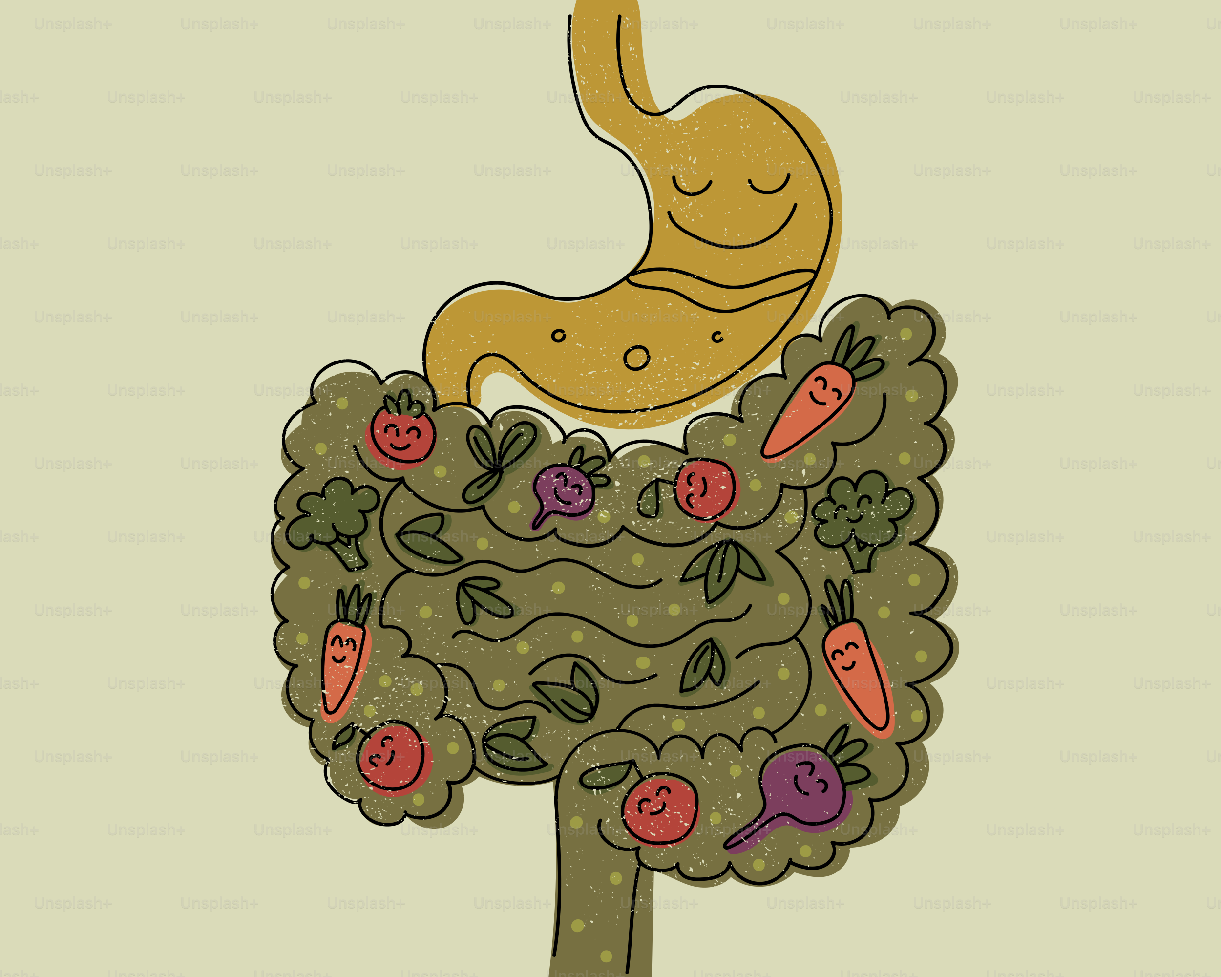 消化器系は健康的な野菜や果物で満たされています。