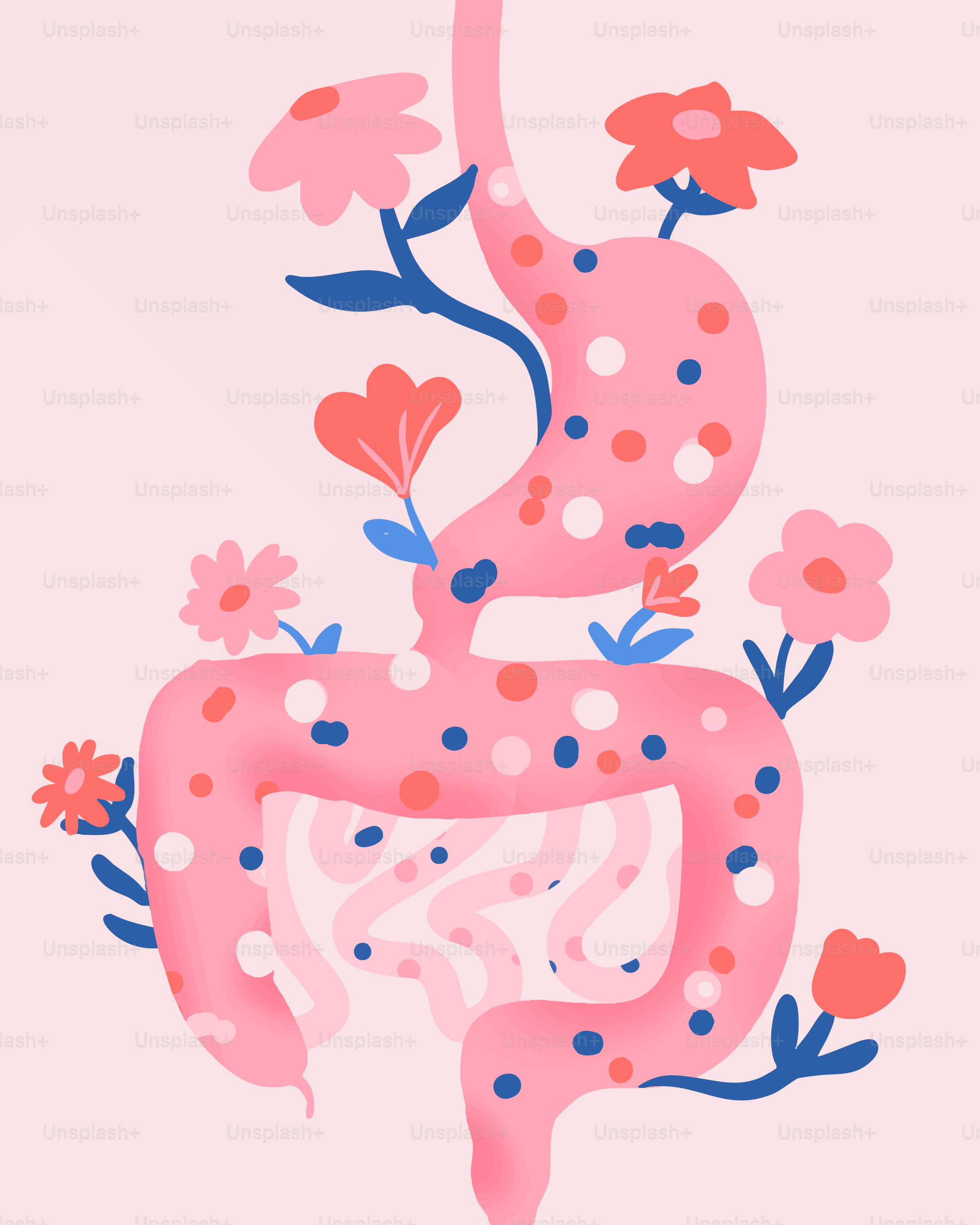 Digestive system with flowers and polka dots
