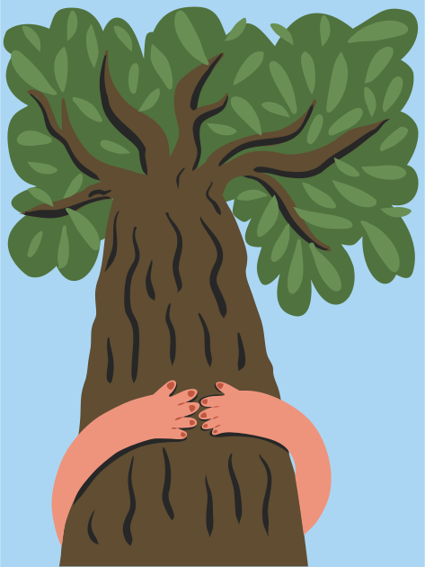 Des mains serrant un grand tronc d’arbre aux feuilles vertes
