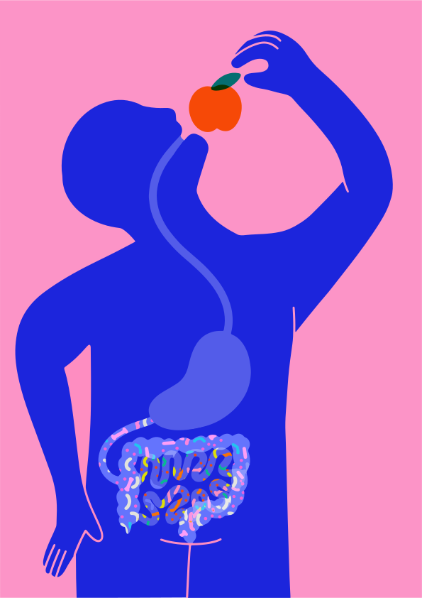 Blaue Silhouette isst einen Apfel, zeigt das Verdauungssystem.