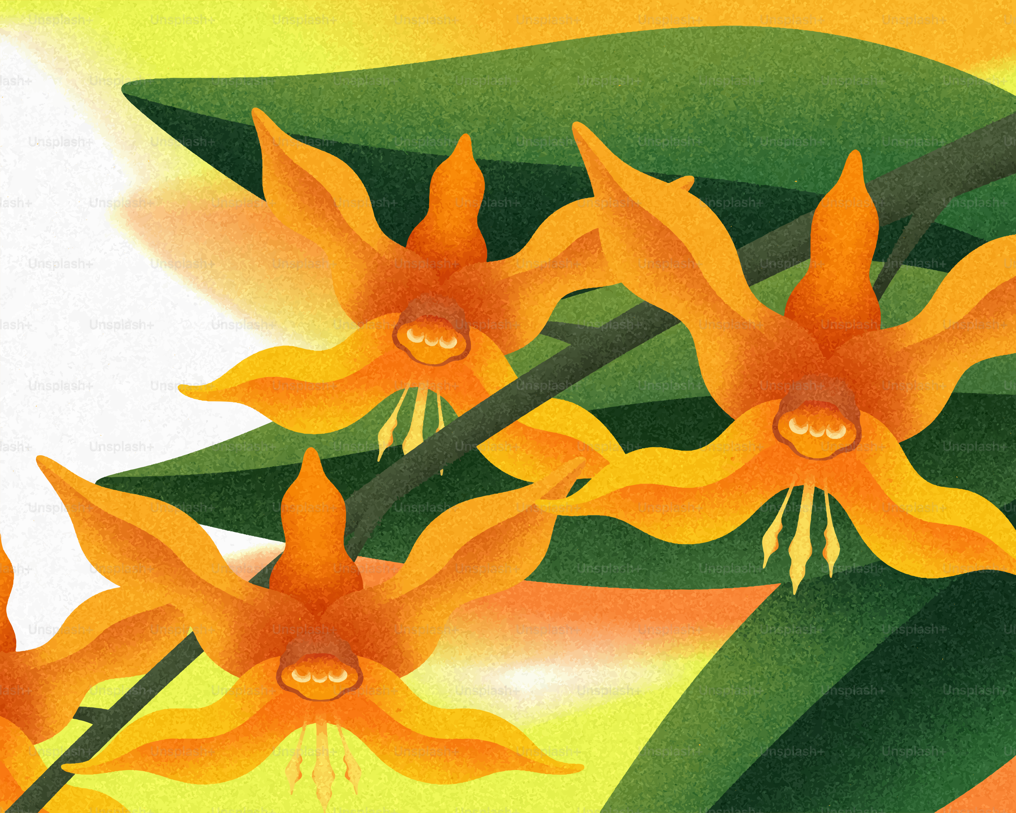 Plan rapproché d’orchidées orange vif aux feuilles vertes.