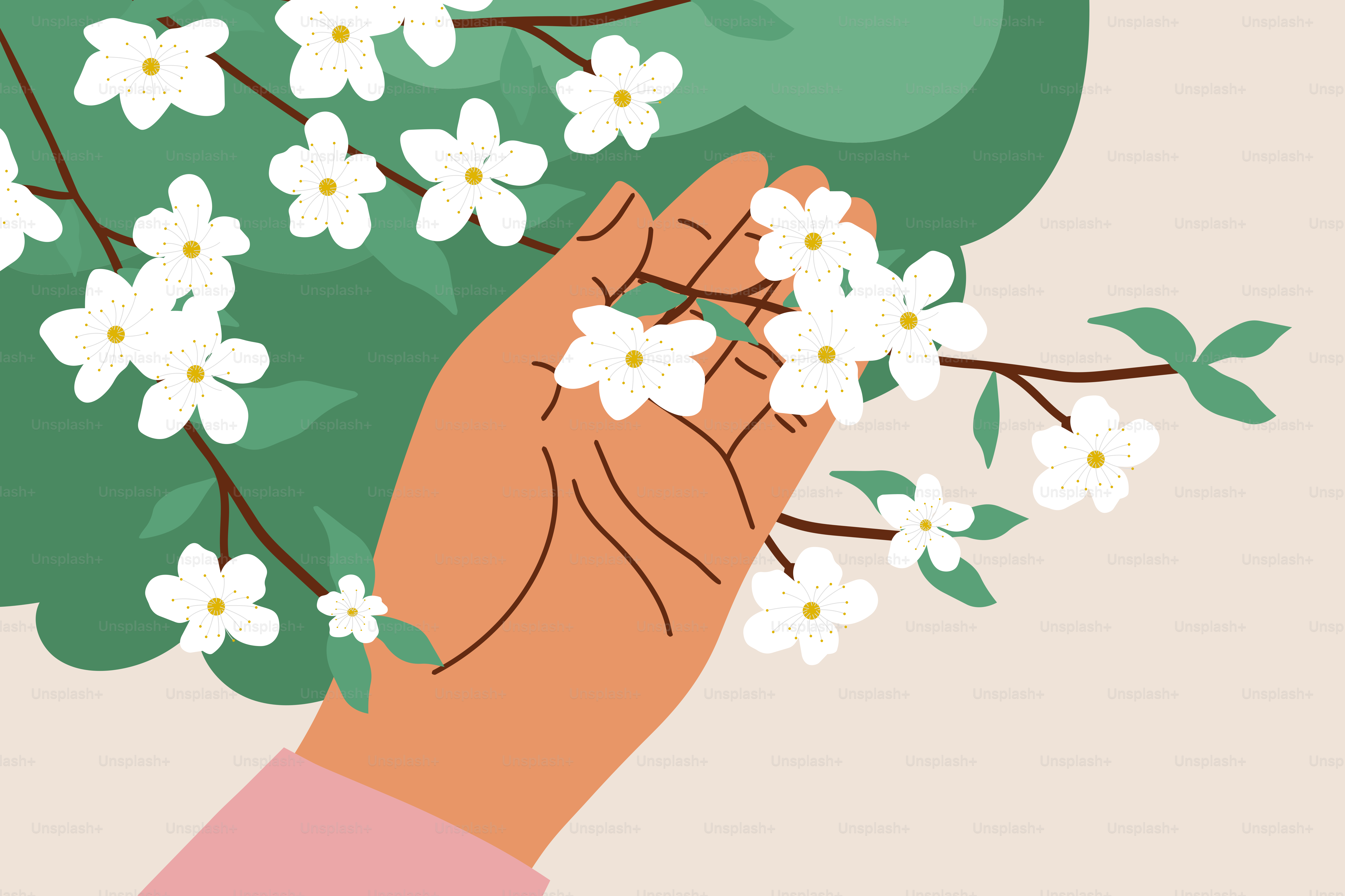 Mano tocando suavemente flores blancas en una rama de árbol.