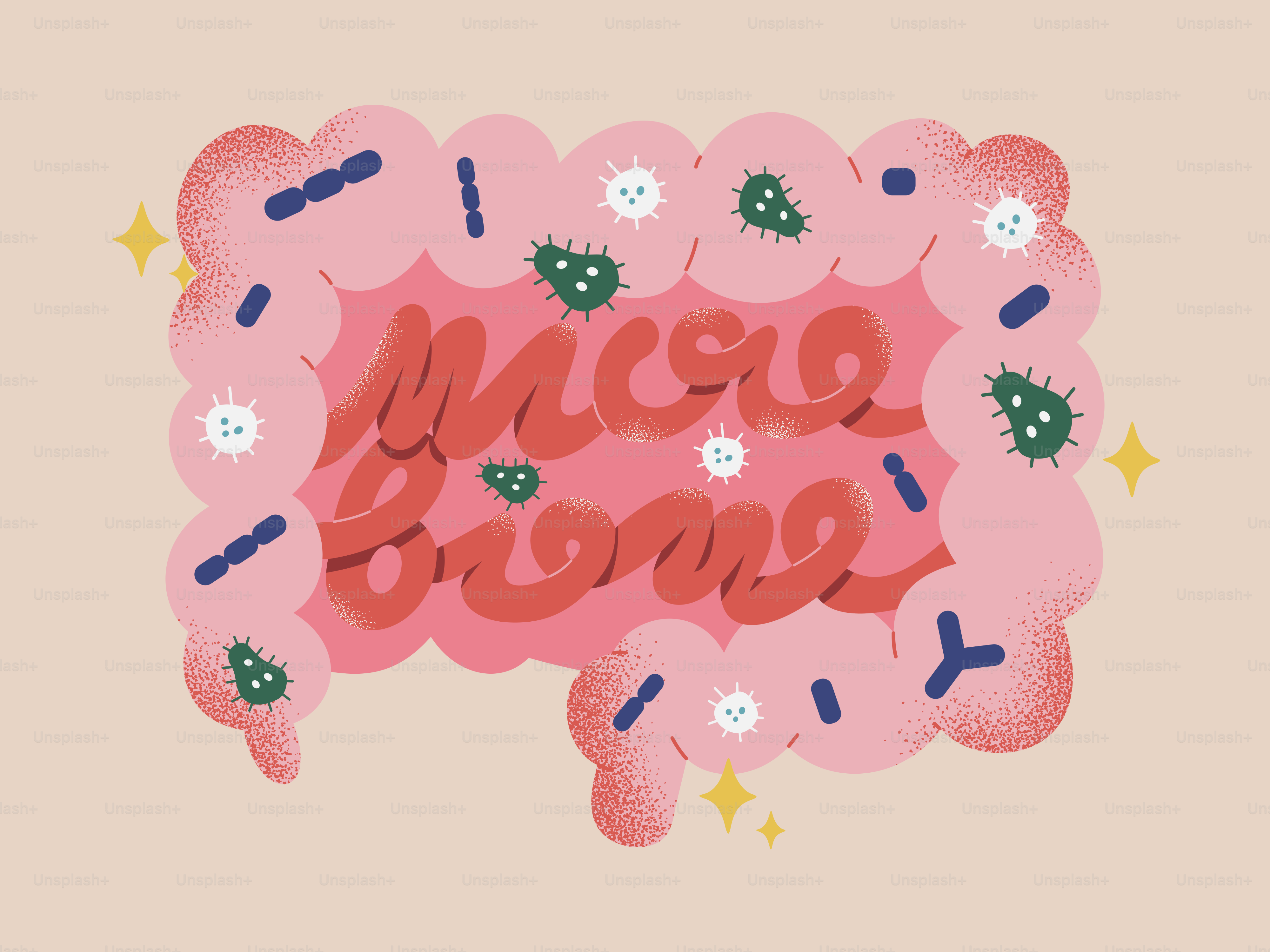 Intestins avec un microbiome et des bactéries sains