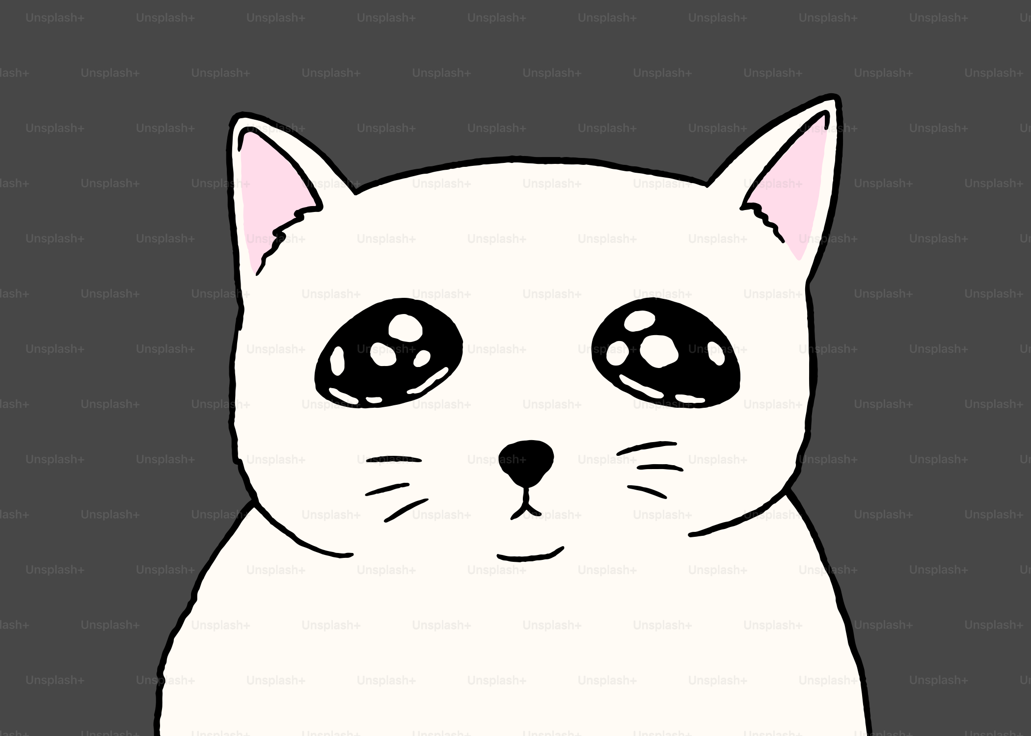 大きくてキラキラした目をした白い猫。