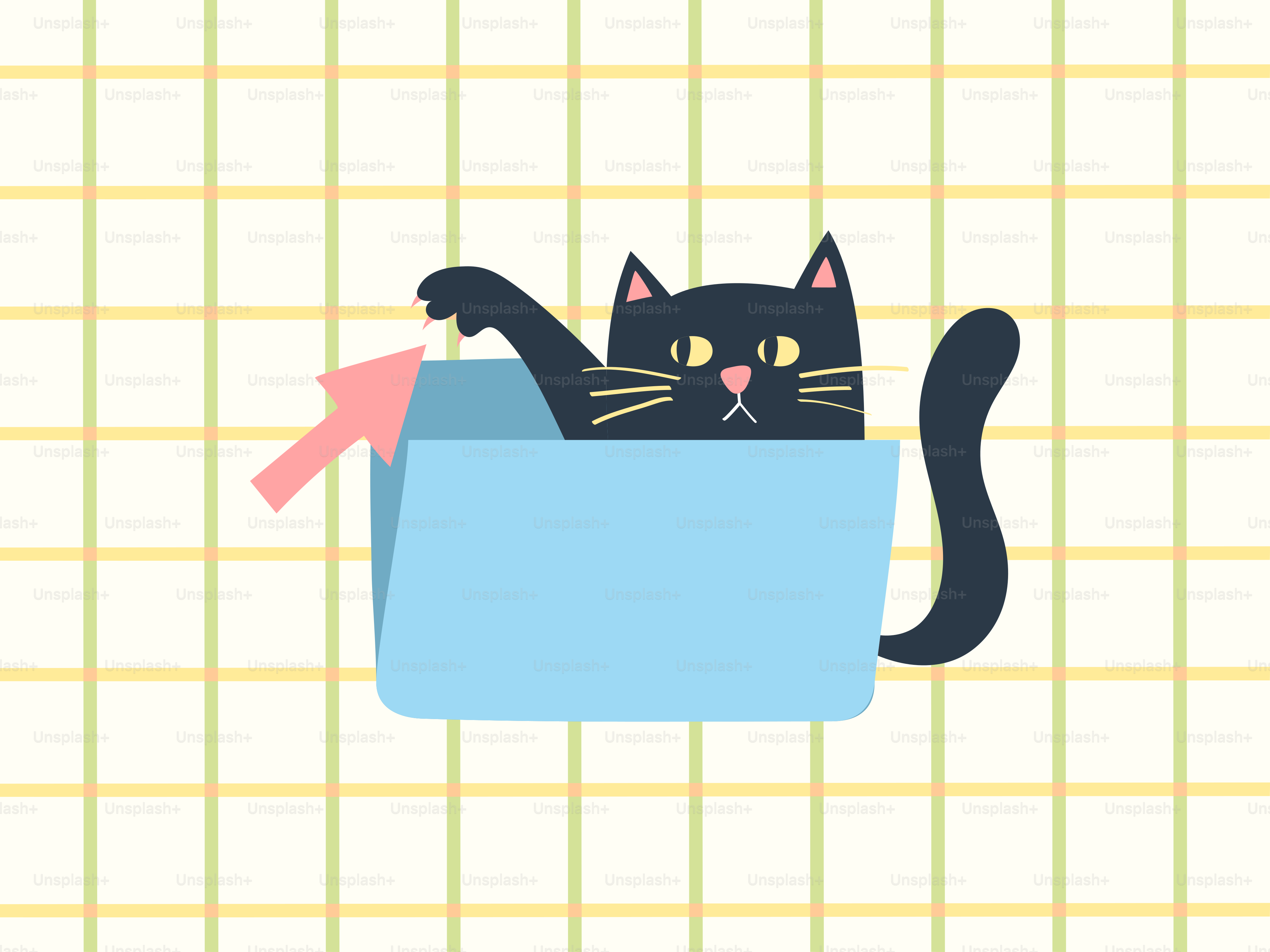 Um gato preto espiando de uma pasta azul.