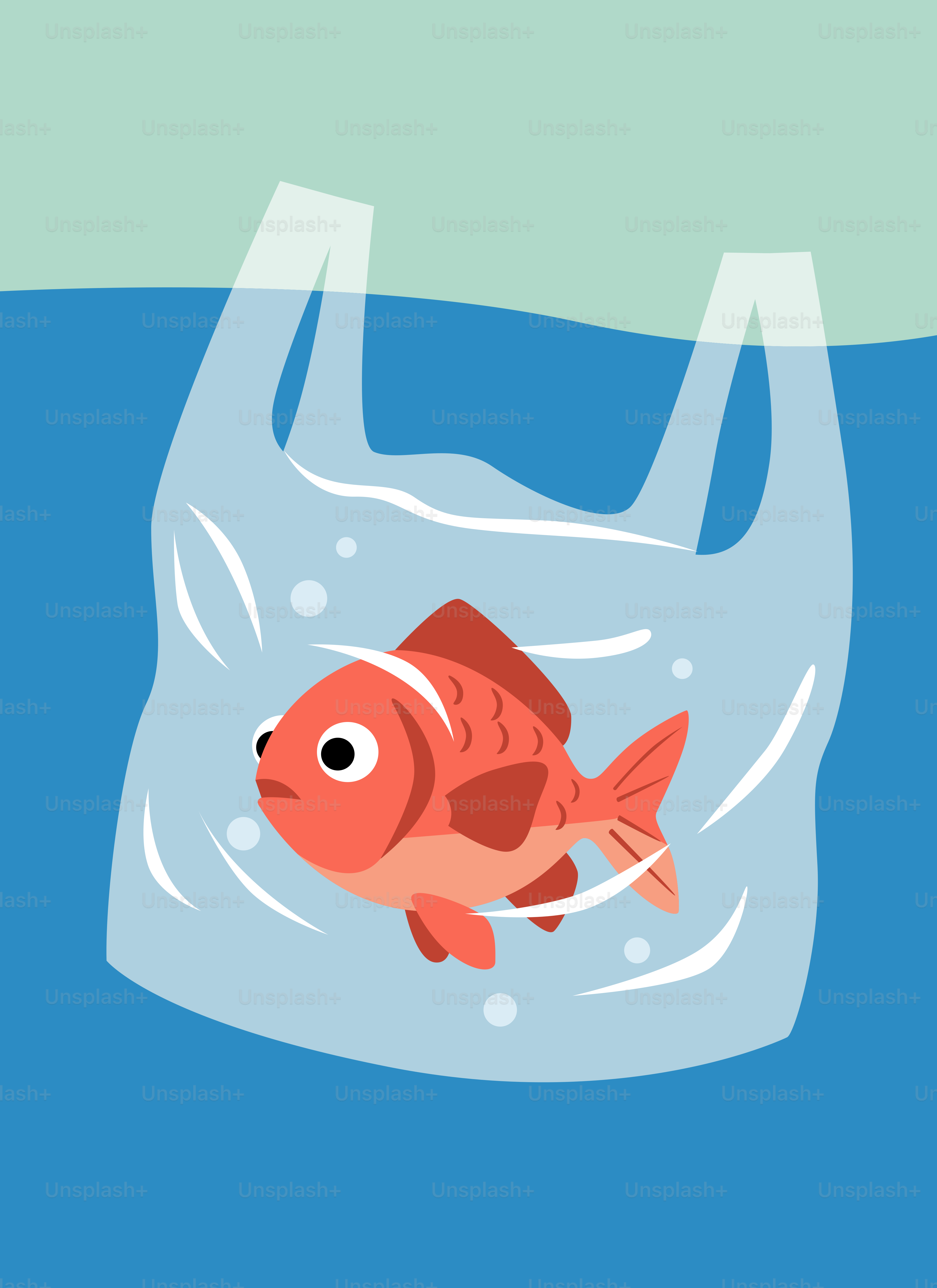 Seekor ikan mas berenang terperangkap di dalam kantong plastik.