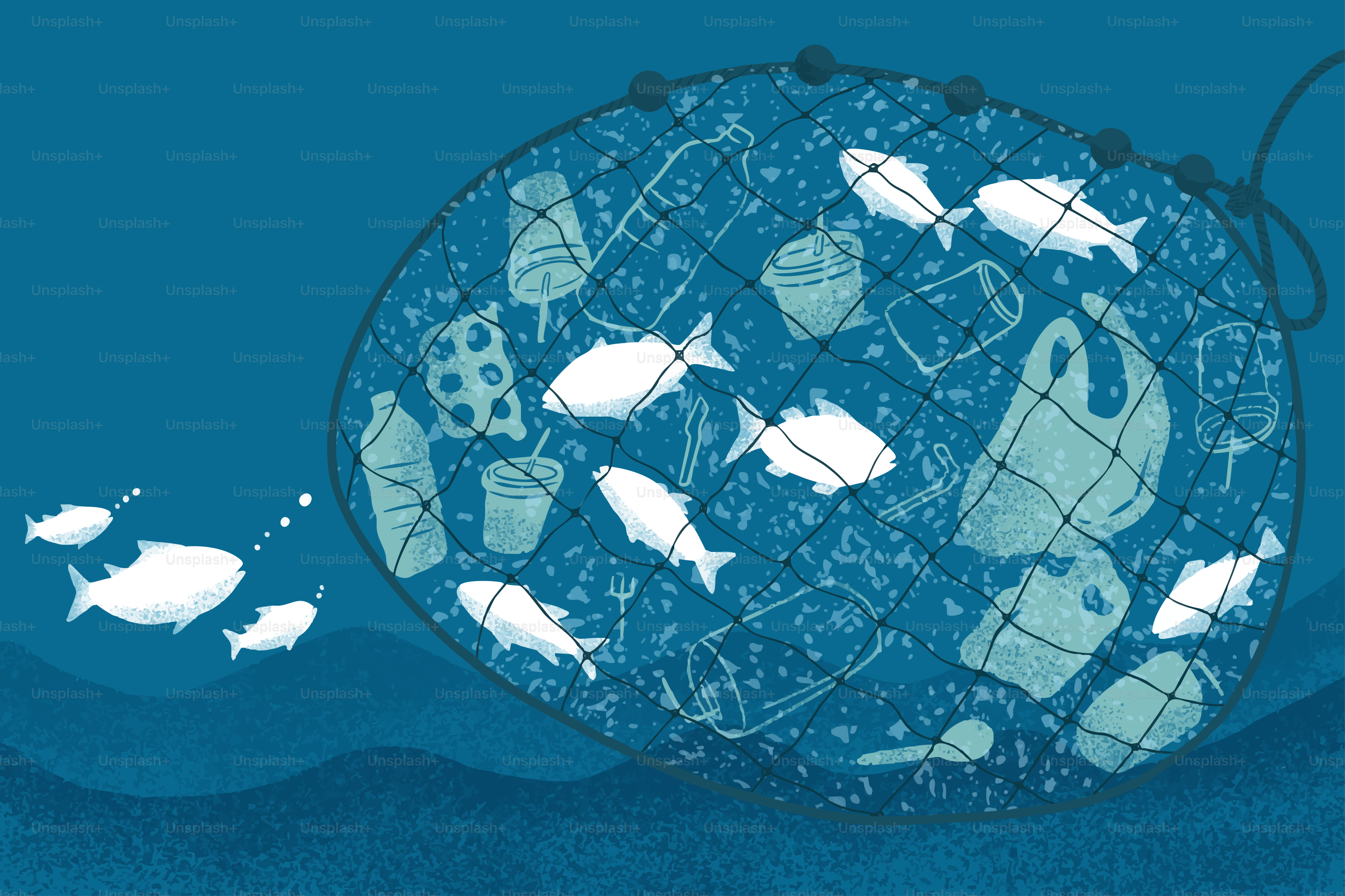 Fish swim towards a net filled with plastic waste.