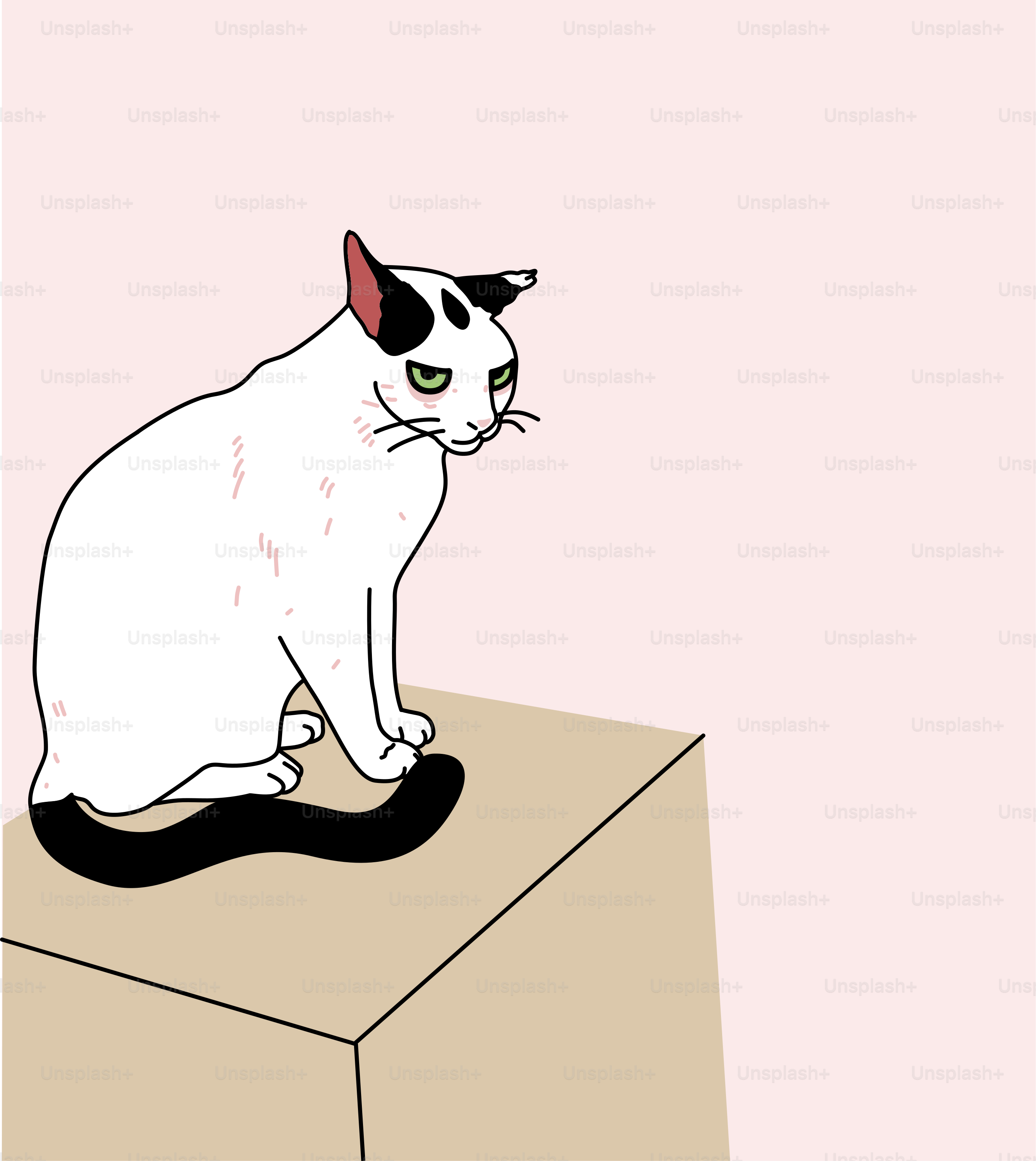 A white cat with black markings sits on a box.