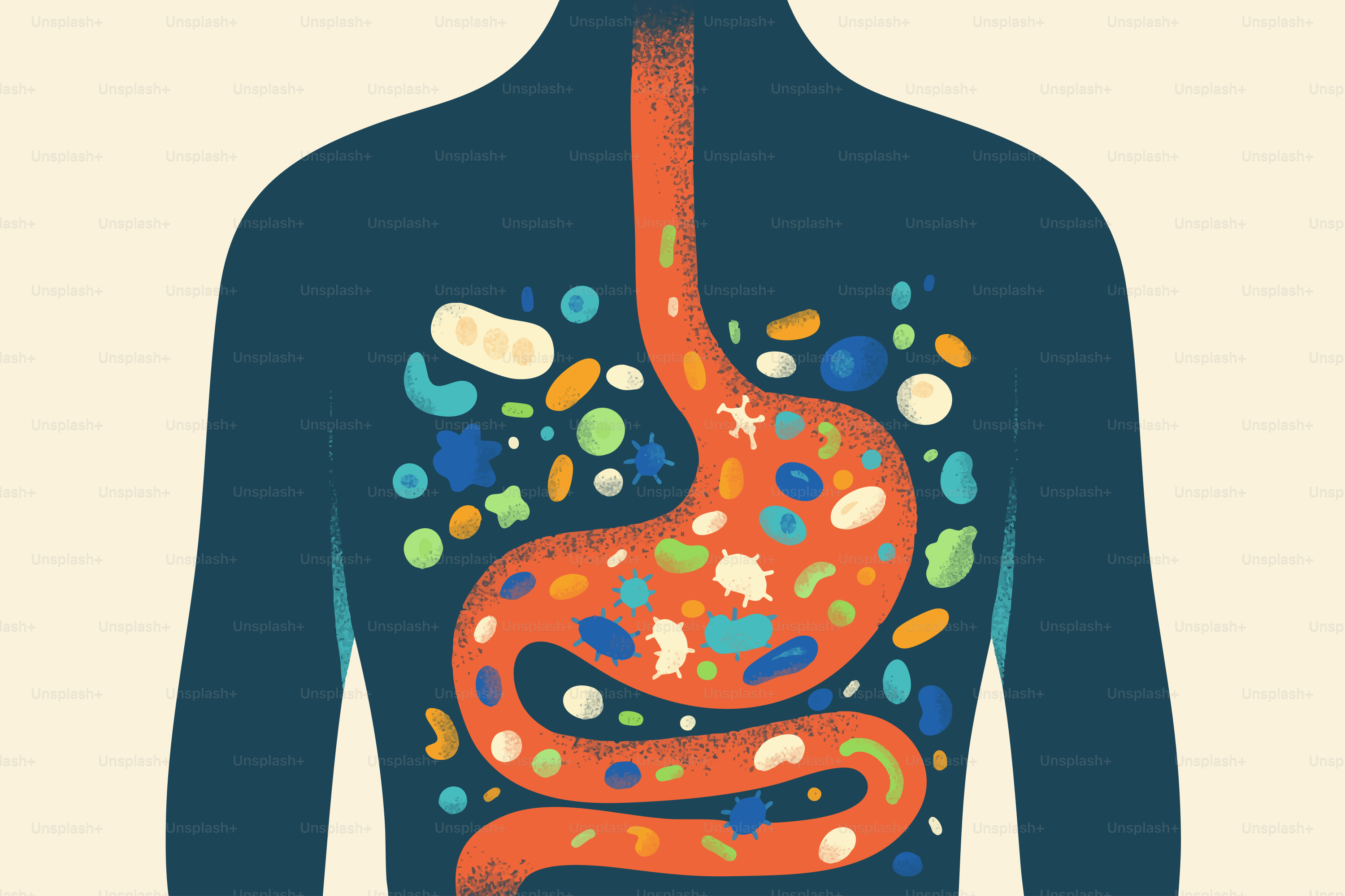 Sistema digestivo cheio de bactérias e micróbios coloridos.