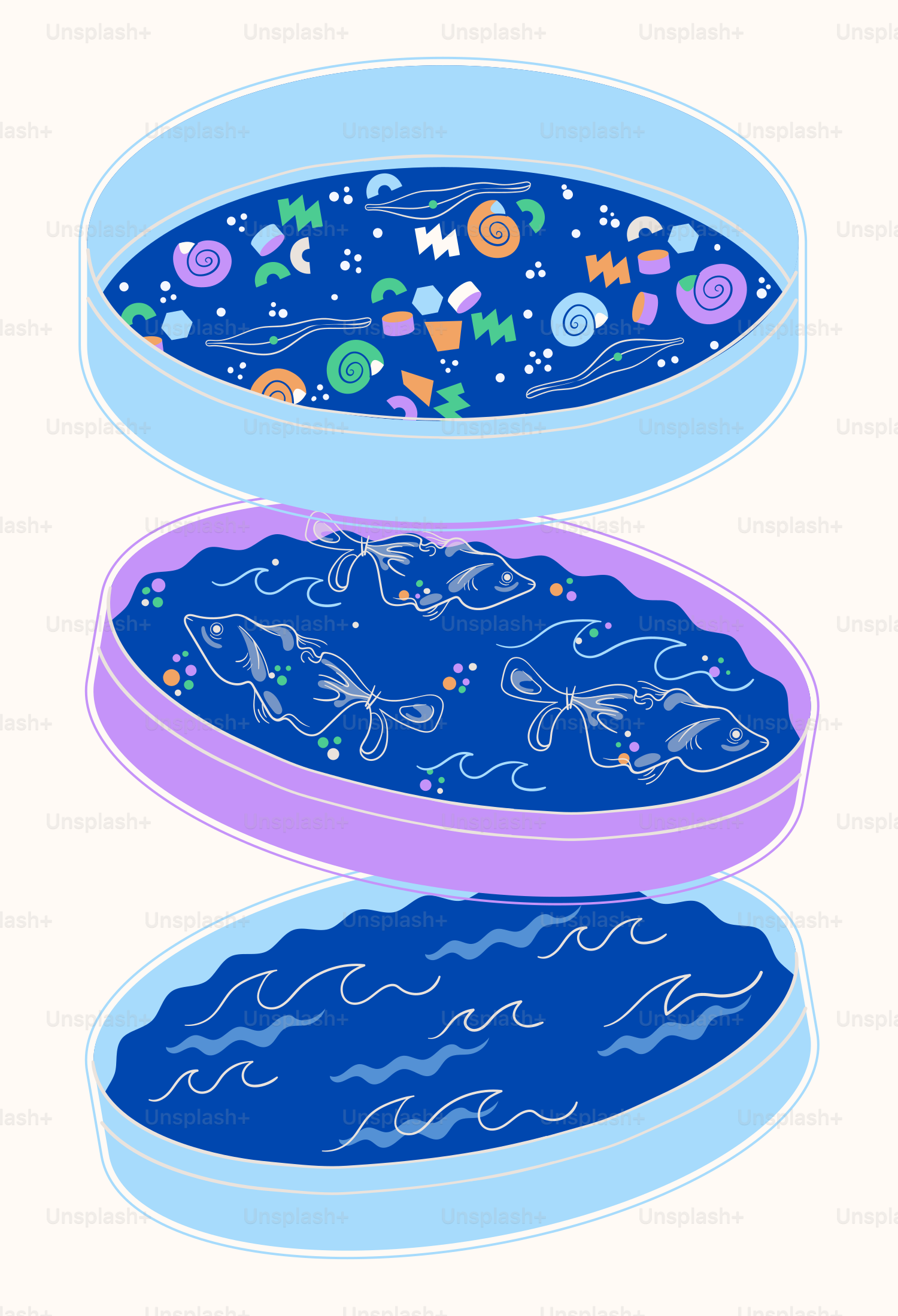 Tre piastre di Petri con disegni astratti e pesci.