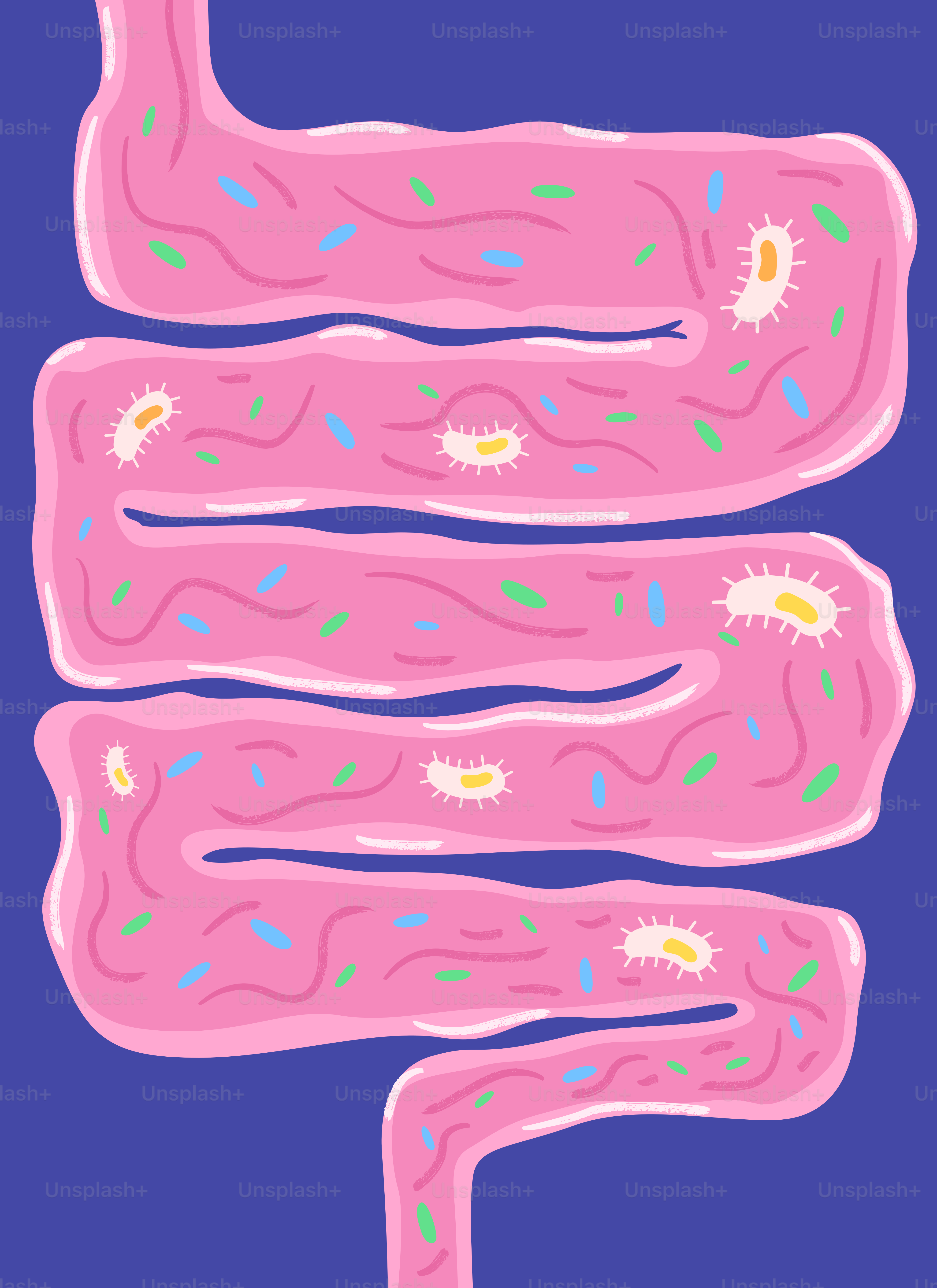 Intestines filled with colorful bacteria and microbes