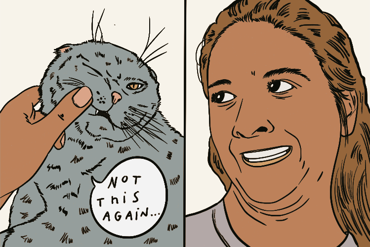 Une personne caresse un chat grincheux avec une bulle de dialogue.