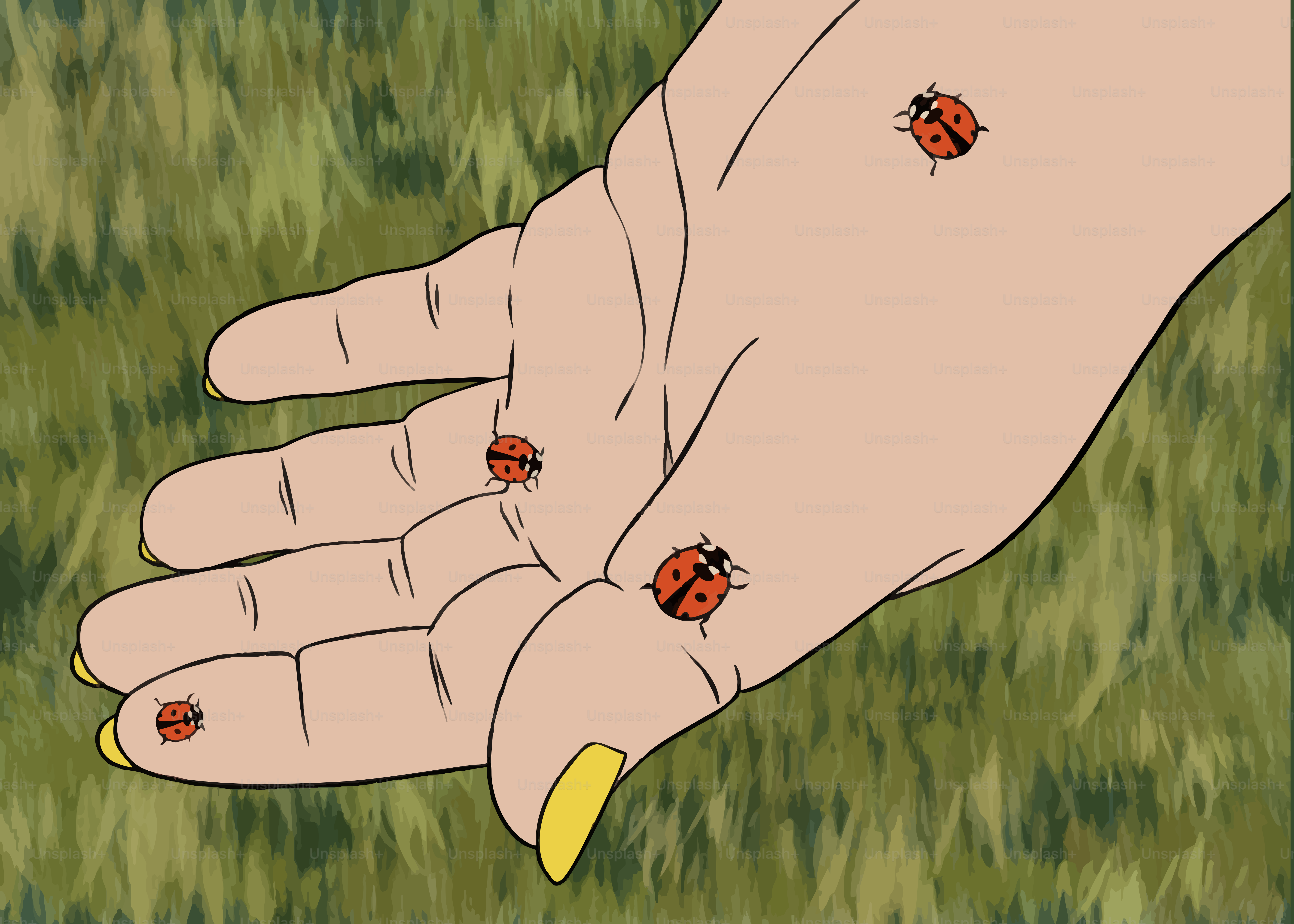 Marienkäfer, die auf der Hand einer Person mit Grashintergrund kriechen.