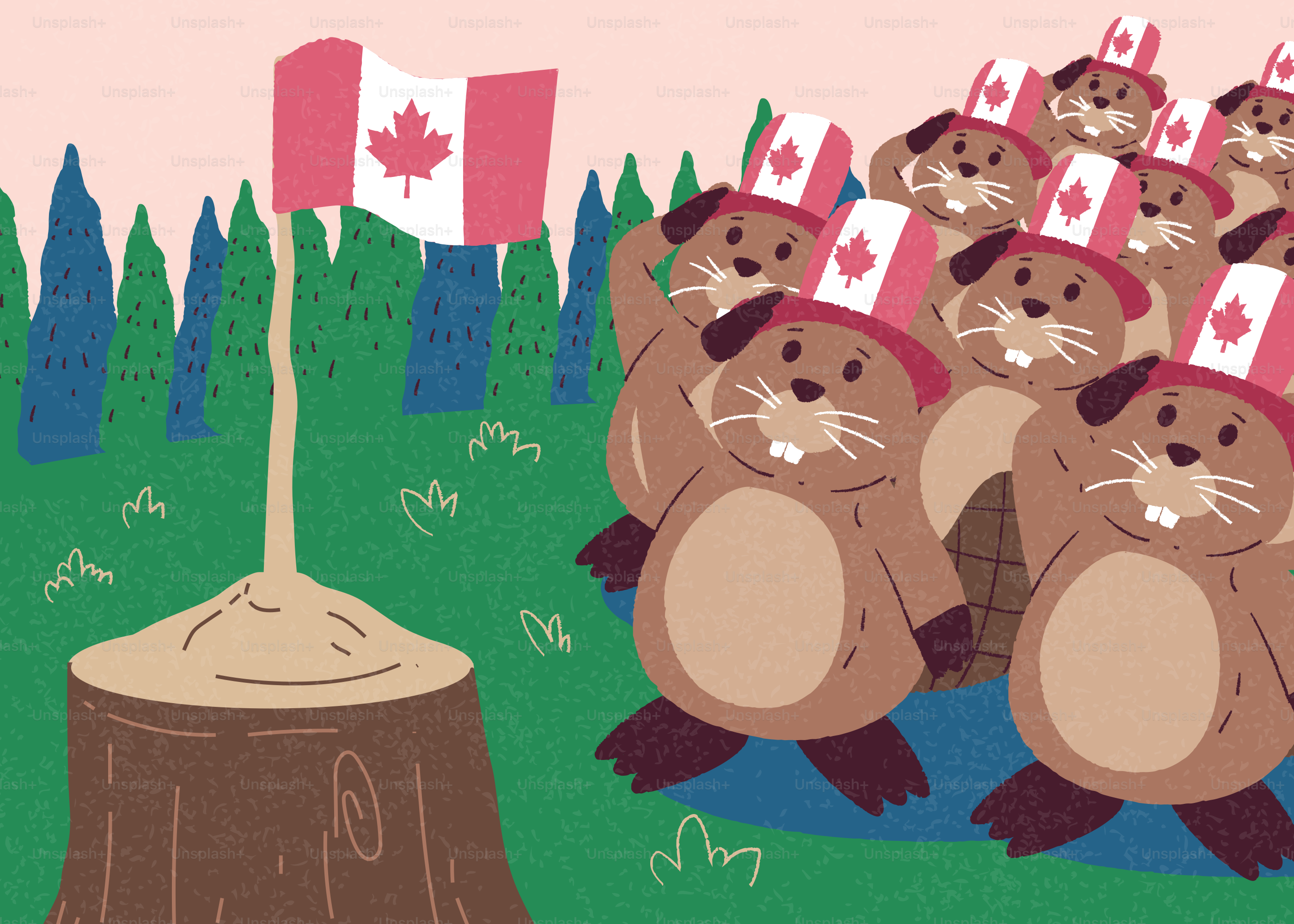 I castori con cappello salutano la bandiera canadese sullo stump