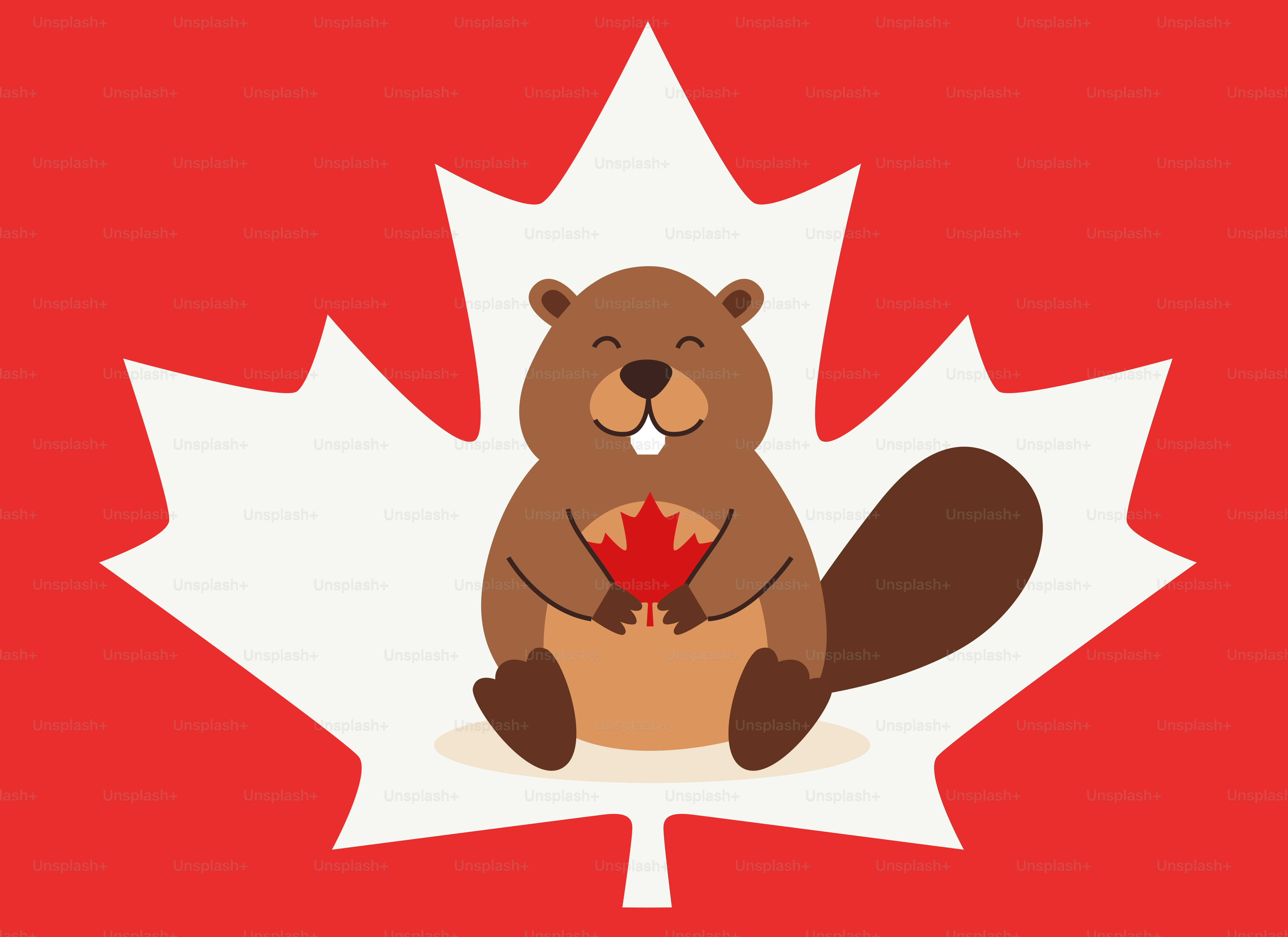 Castor de desenho animado segurando uma folha de bordo em uma bandeira canadense.