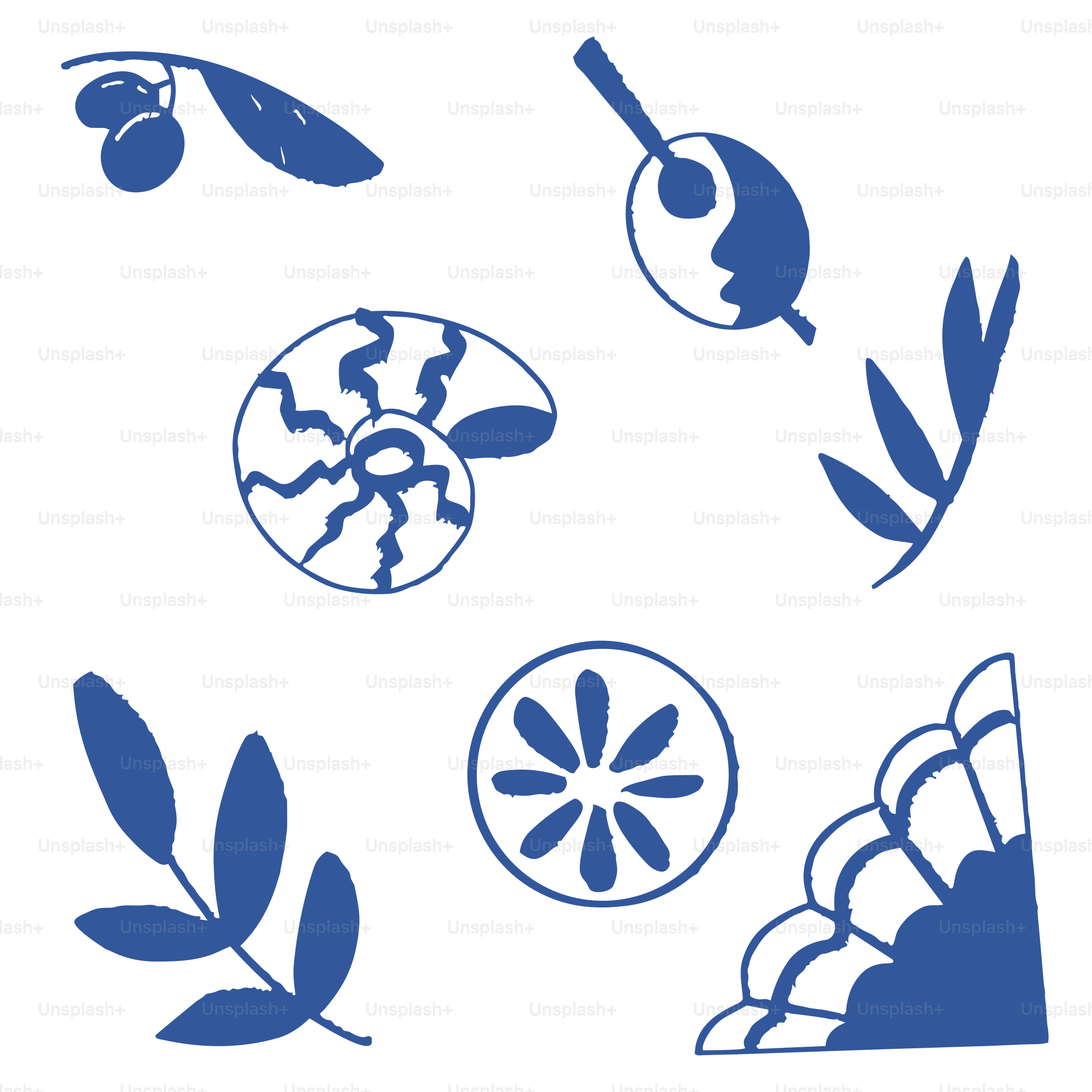 Blue illustrations of olives, leaves, a shell, and decorative elements.