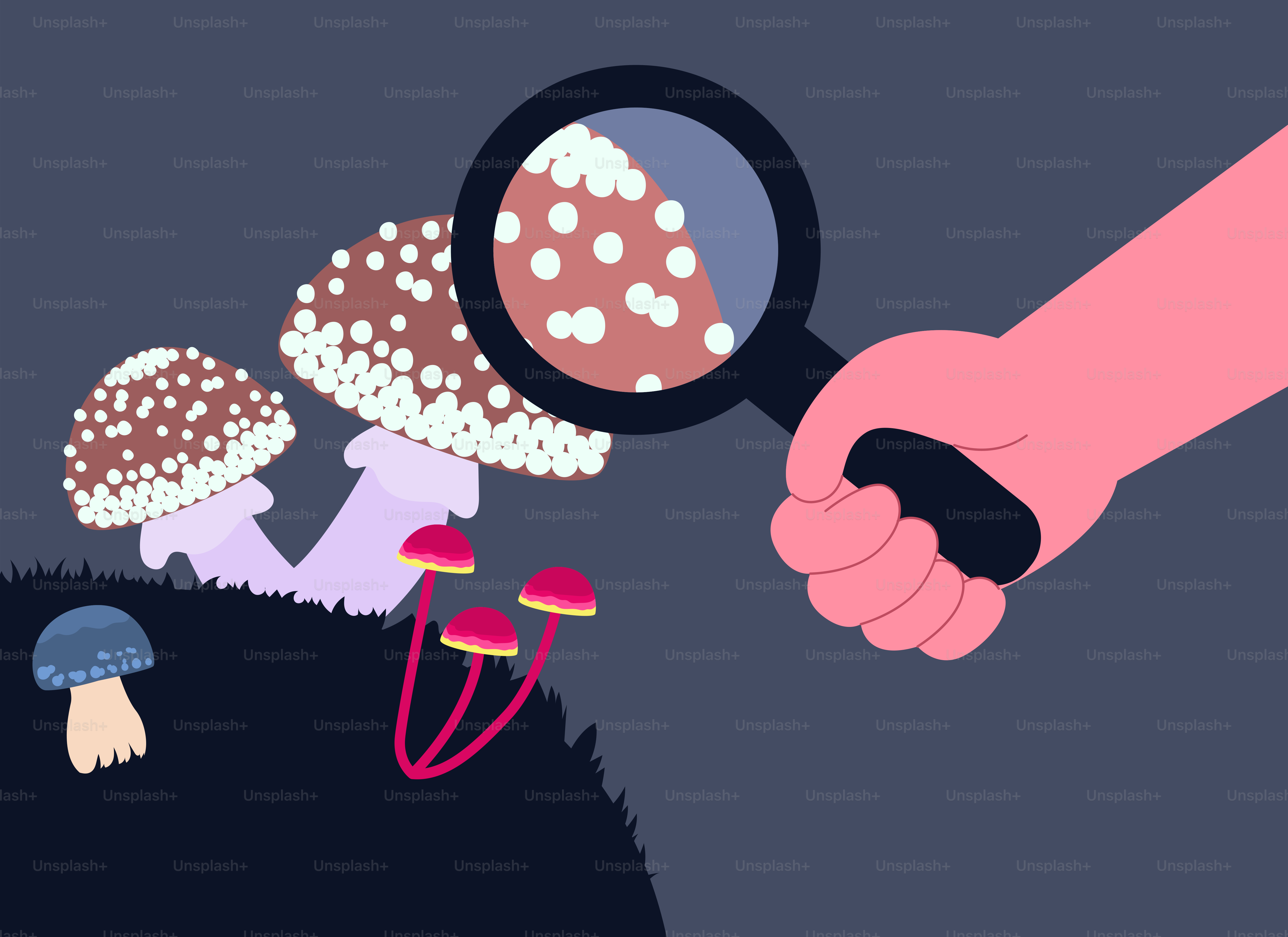 A hand holds a magnifying glass over various mushrooms.