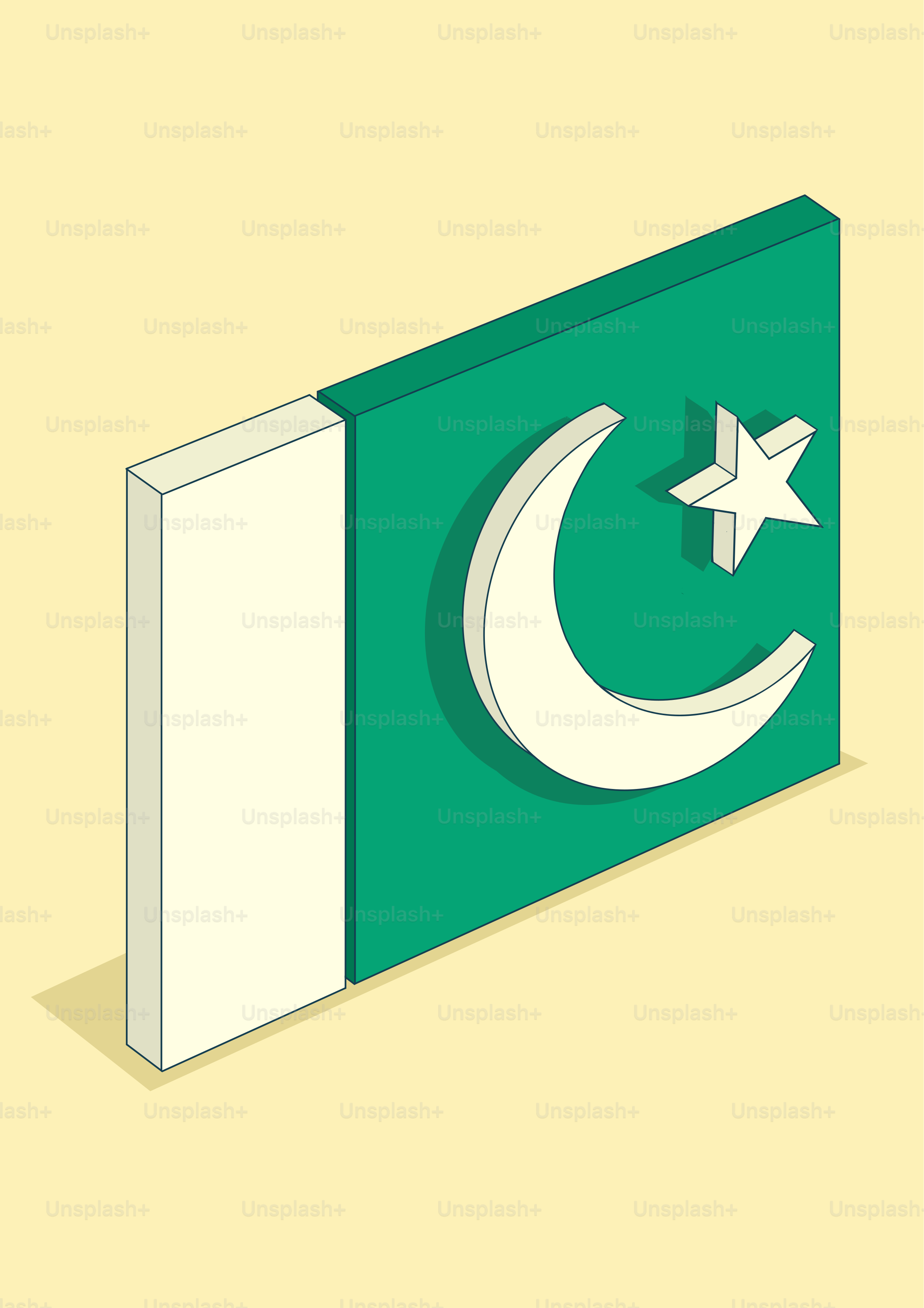 Bandiera isometrica del Pakistan con mezzaluna bianca e stella.
