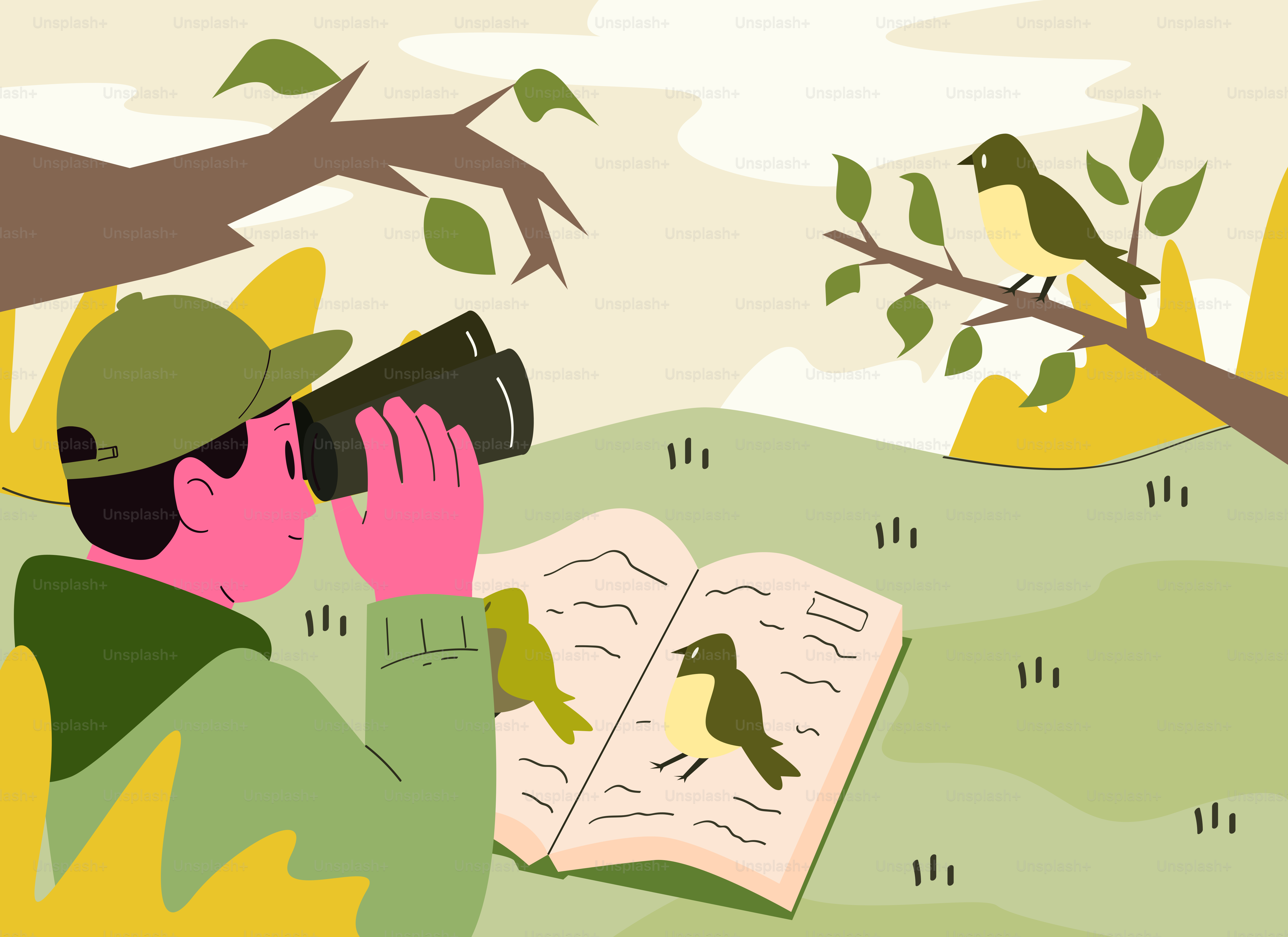 Una persona che osserva gli uccelli con binocolo e un libro di identificazione degli uccelli.