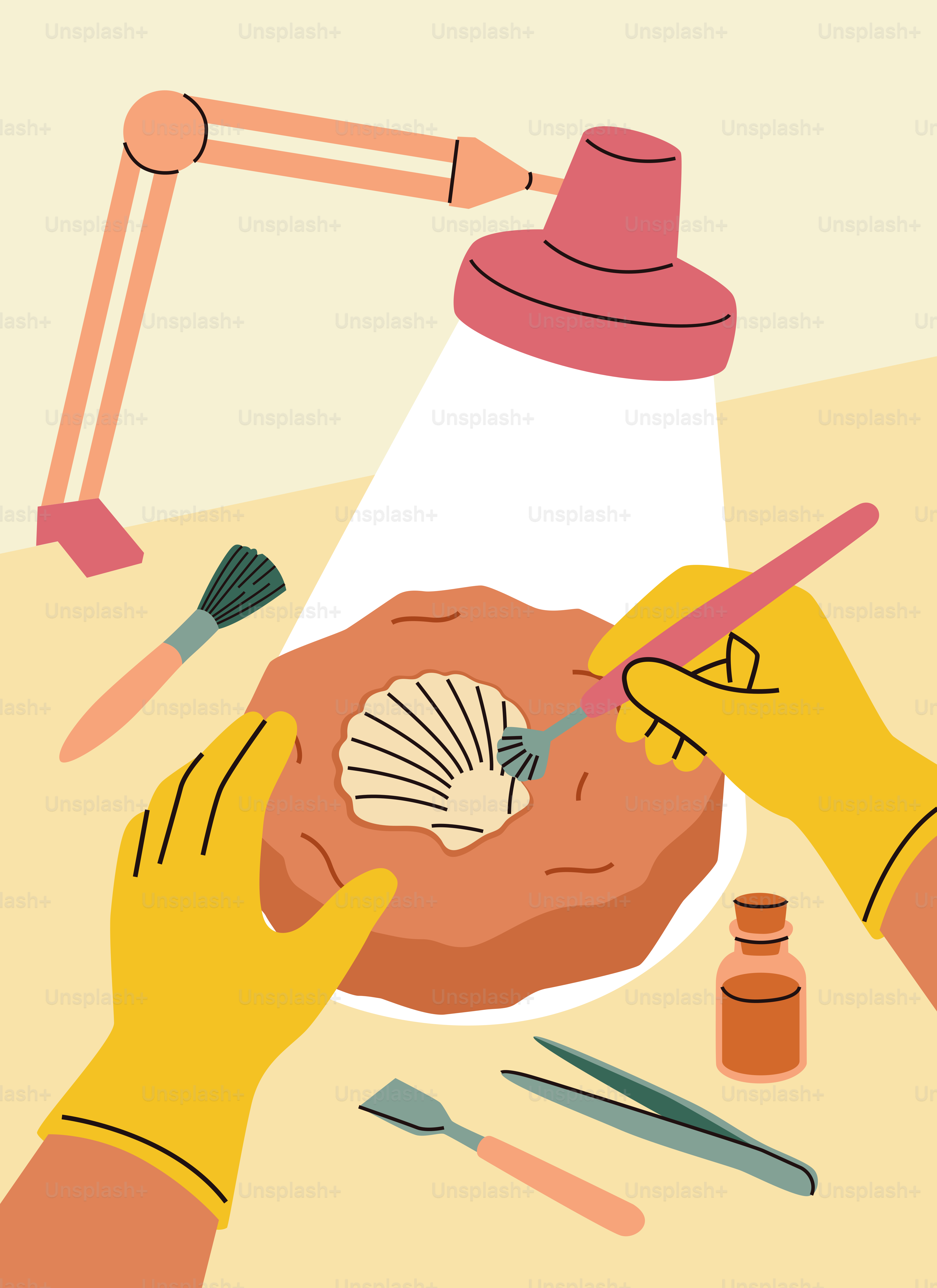Hands excavating a seashell fossil from rock under a lamp.