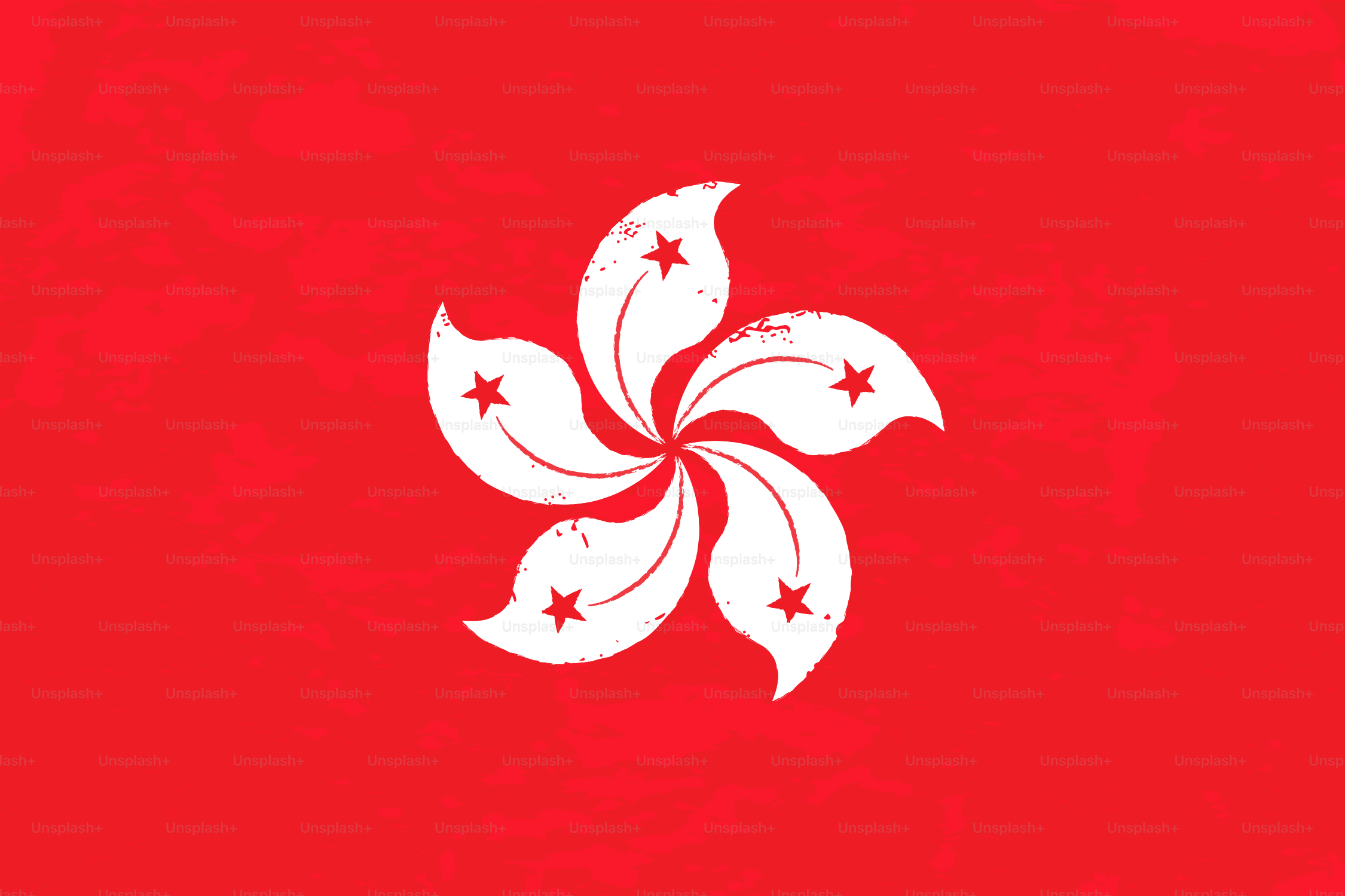 A bandeira vermelha de Hong Kong com uma flor branca.