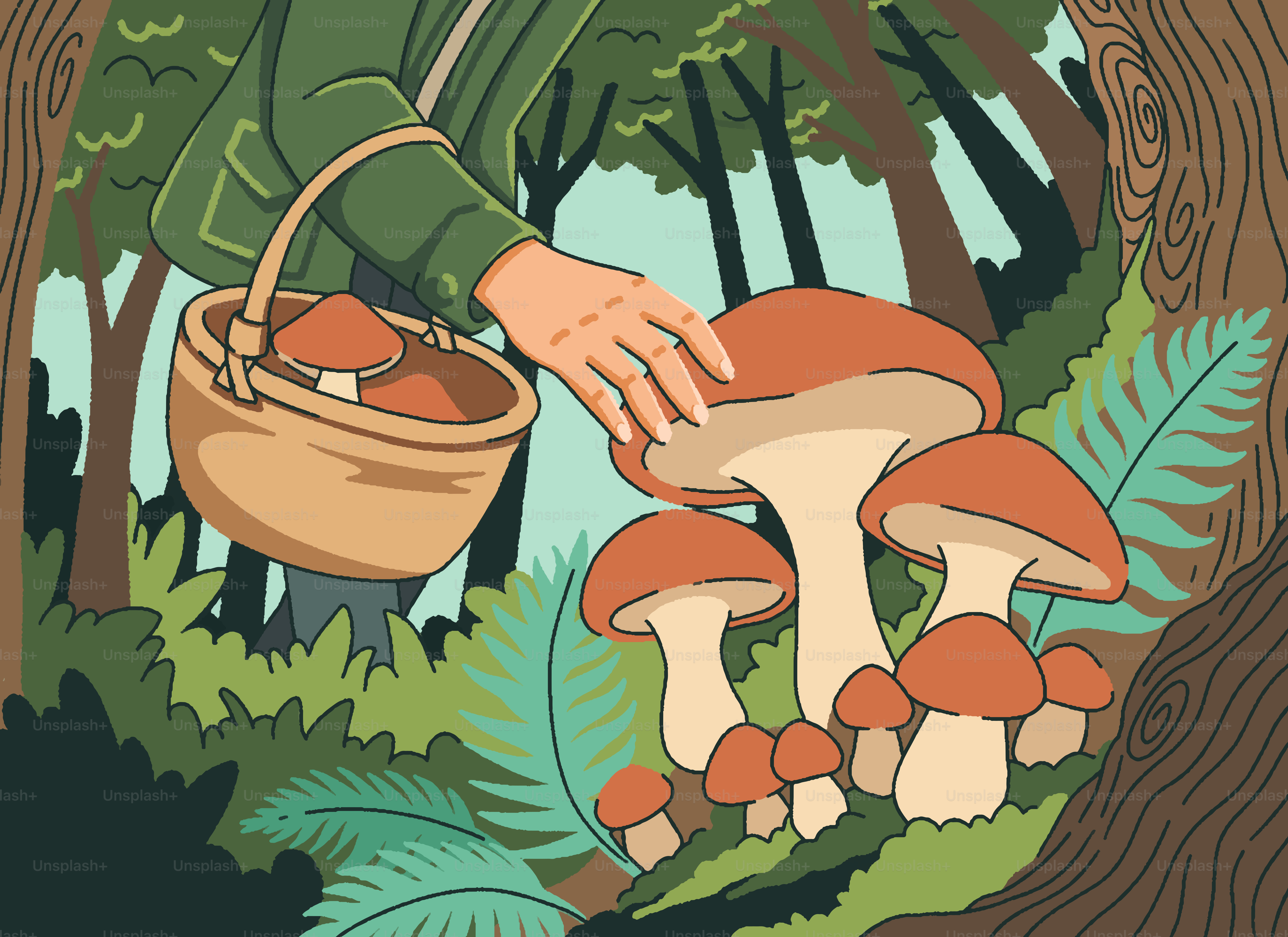 Mencari makan jamur di hutan rimbun
