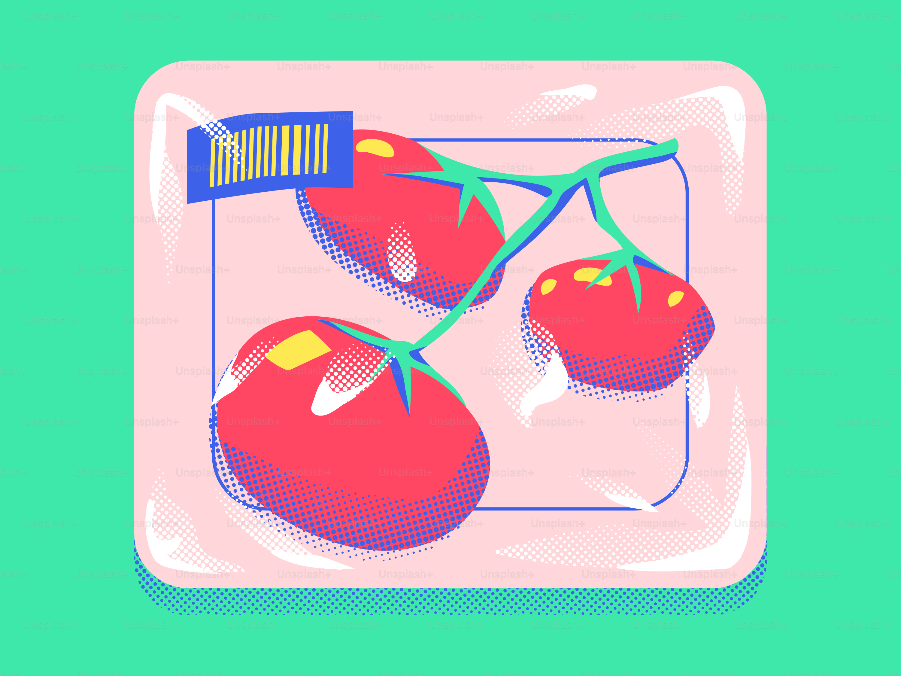 Packaged tomatoes with barcode on a teal background