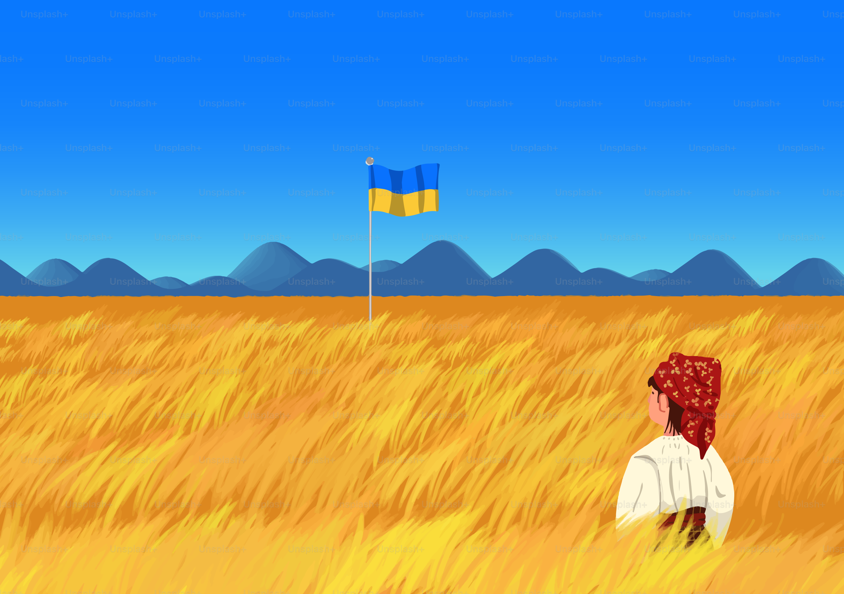 Personne dans un champ doré regardant vers le drapeau ukrainien