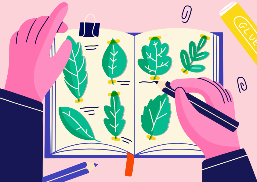 Mãos ilustrando diversos padrões de folhas em um caderno botânico de esboços