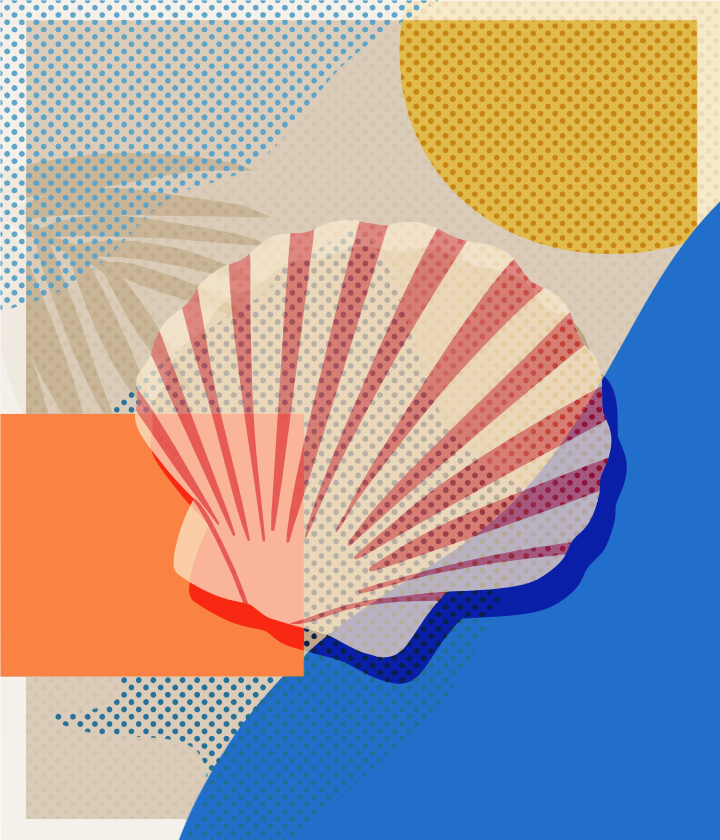 Illustration de coquille Saint-Jacques avec formes et motifs abstraits