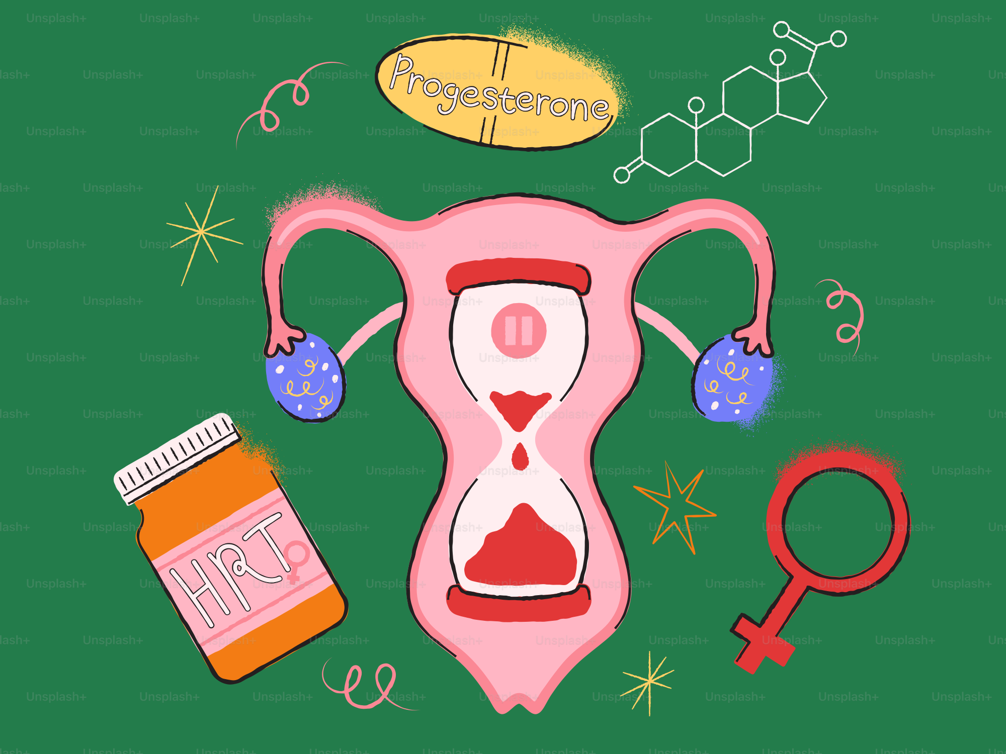 Weibliches Fortpflanzungssystem mit HRT, Progesteron und Sanduhr