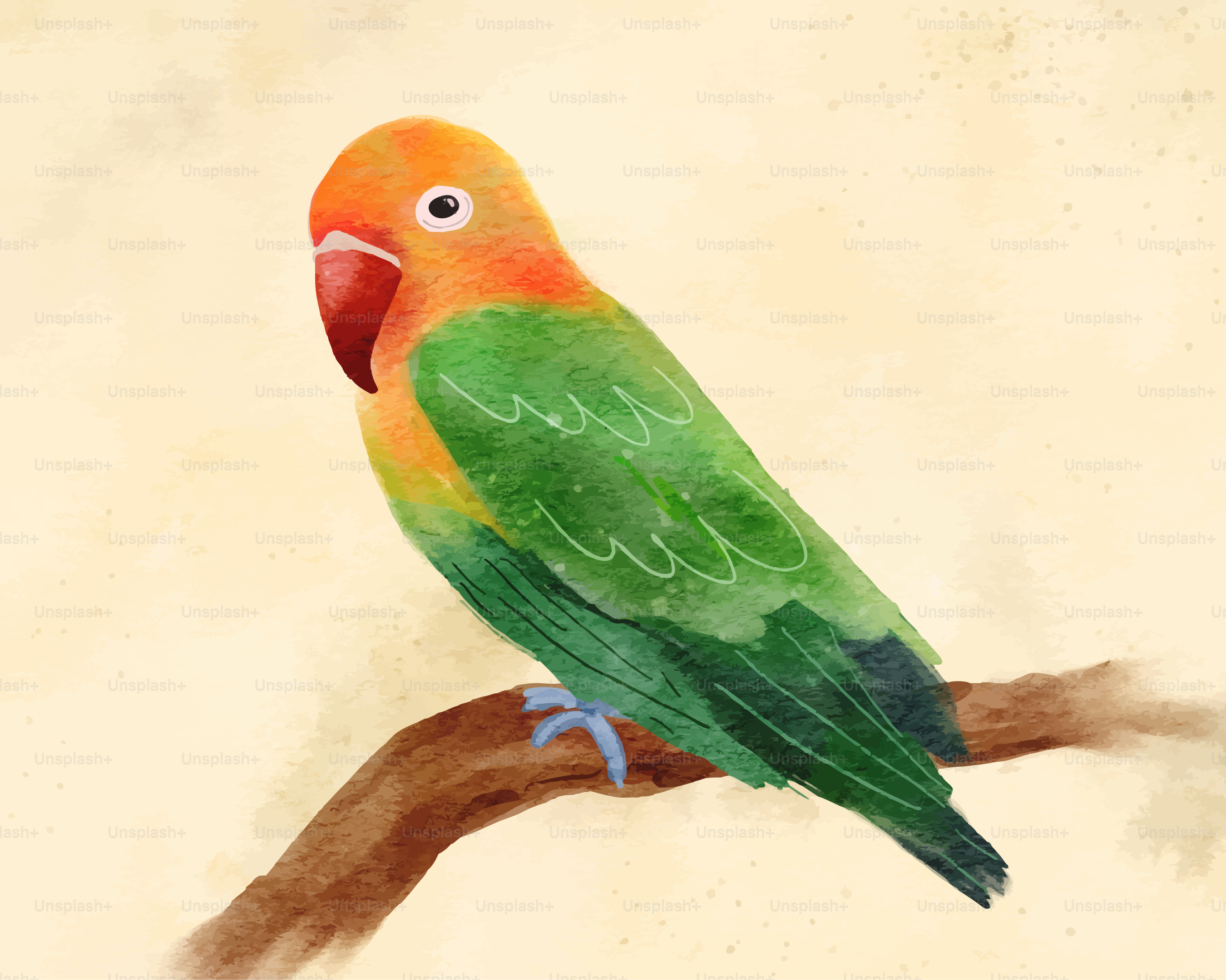 Pombinho colorido empoleirado em um galho