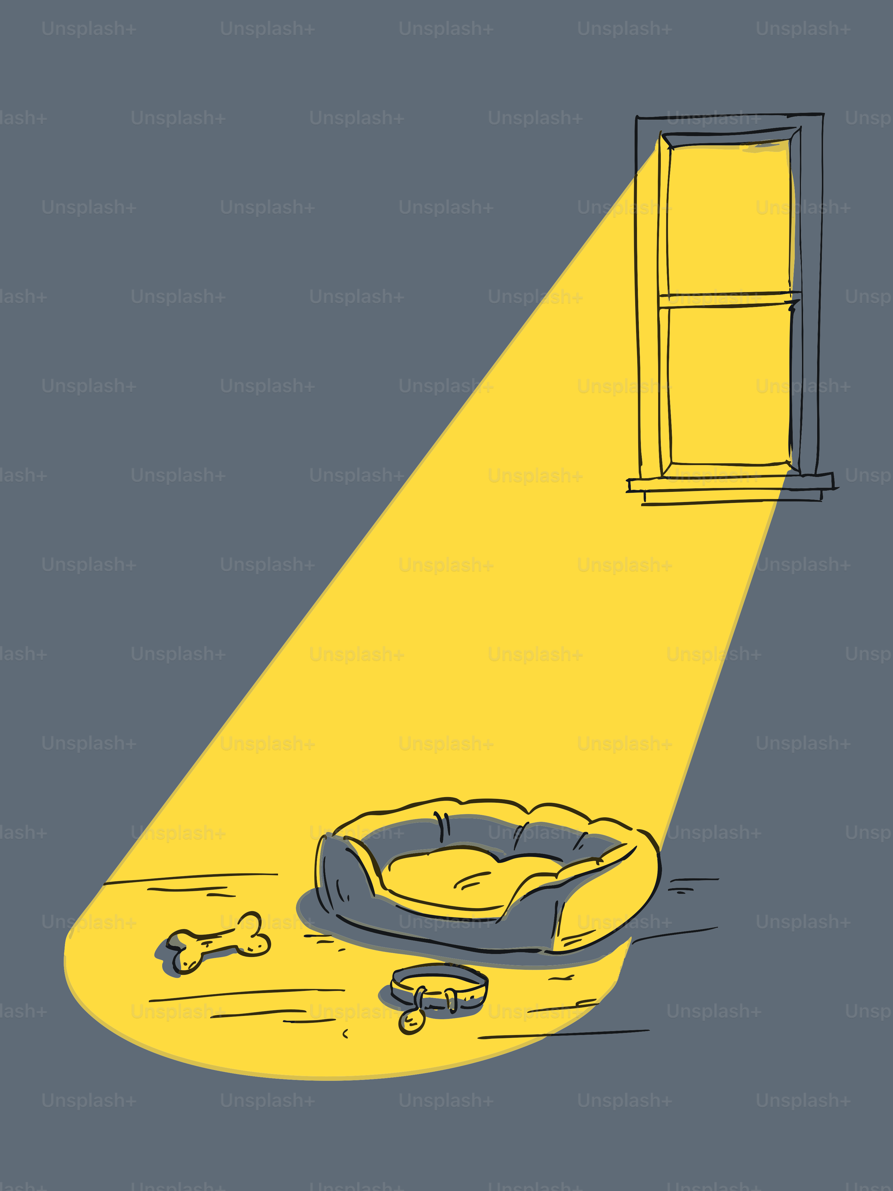Un lit pour chien, un collier, et un os dans un faisceau de lumière jaune
