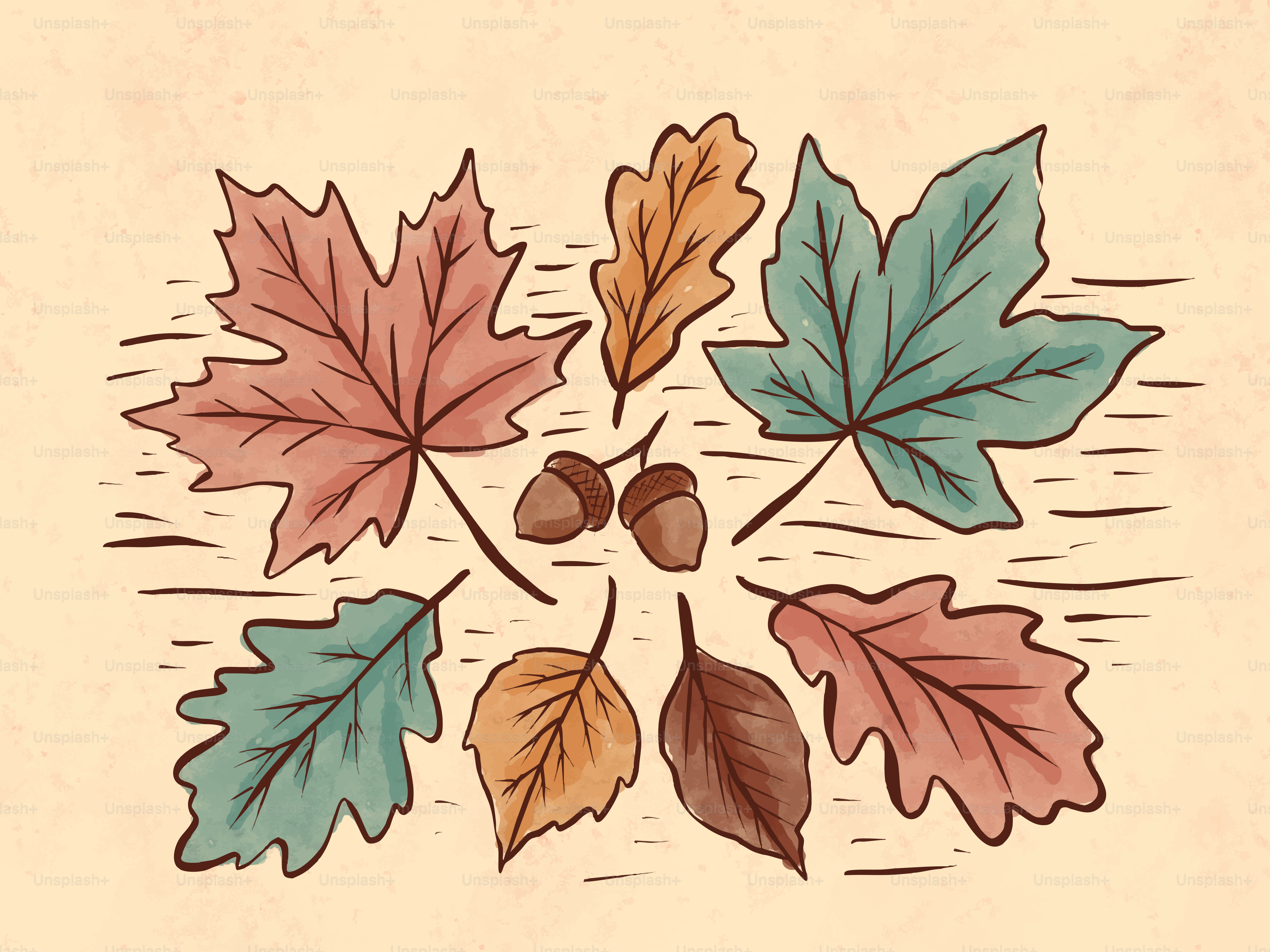 Six feuilles d’automne colorées et deux glands disposés sur un fond beige texturé