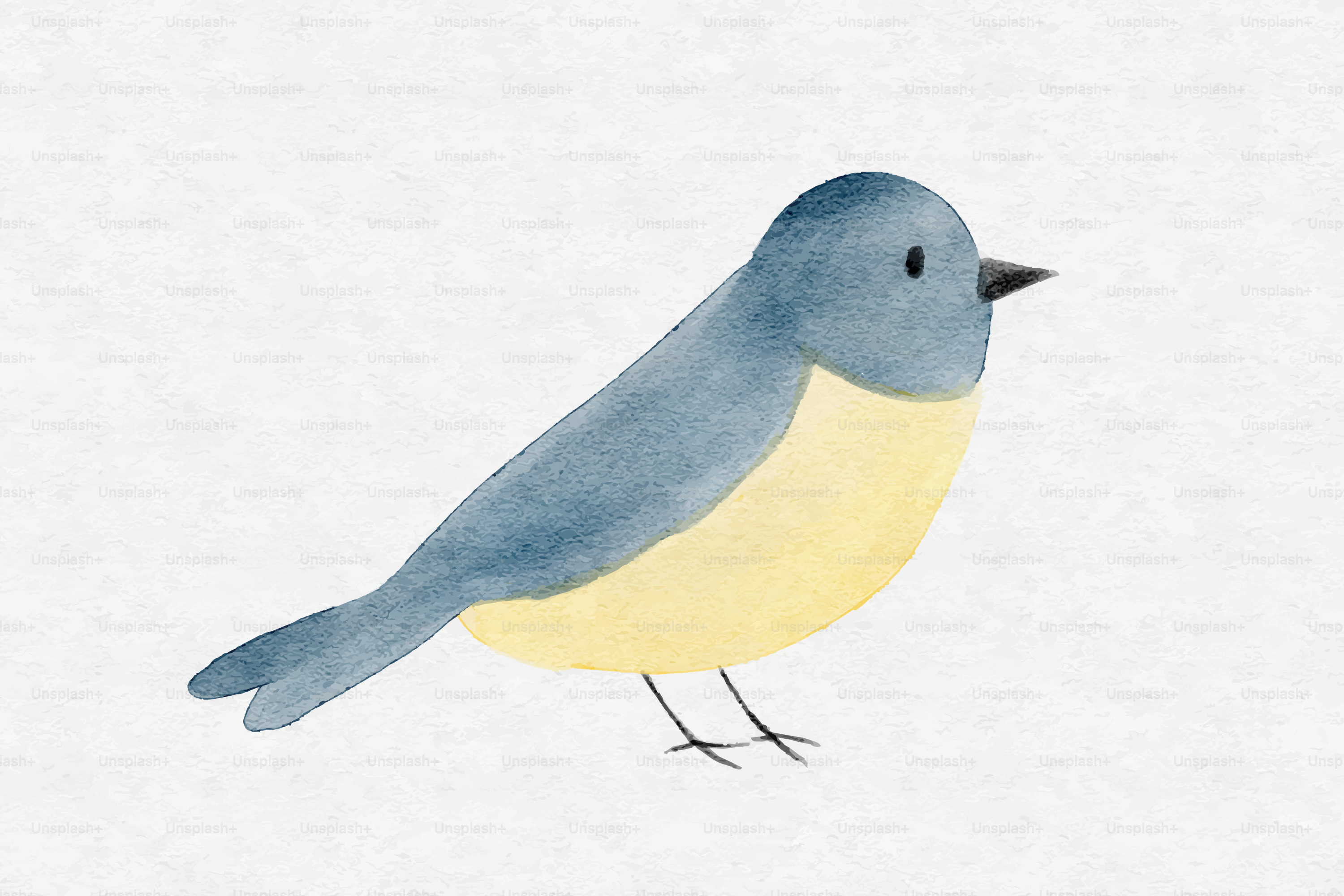 Um pássaro aquarela com cabeça e costas azuis e barriga amarela