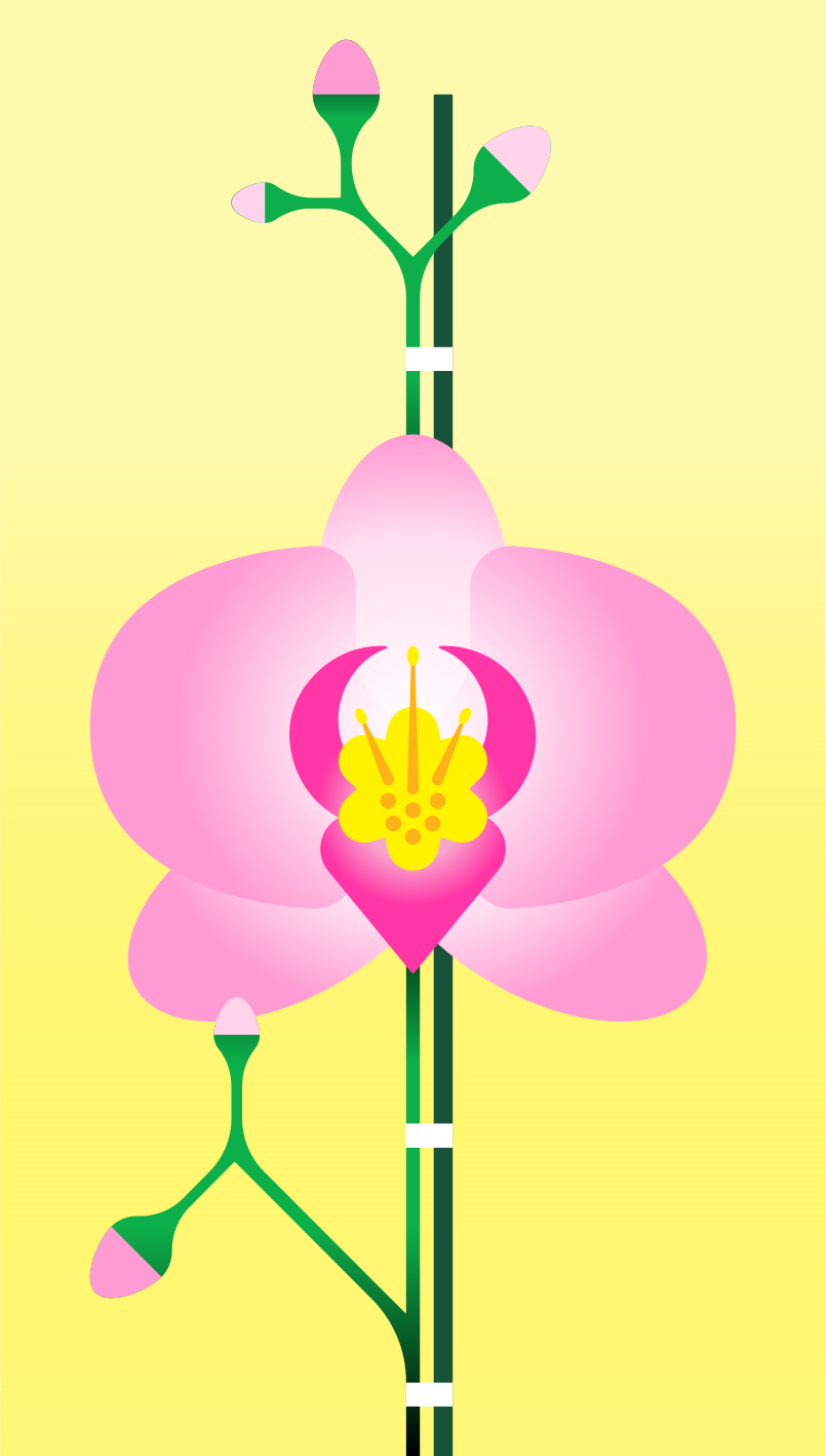A stylized pink orchid flower with buds on a pale yellow background