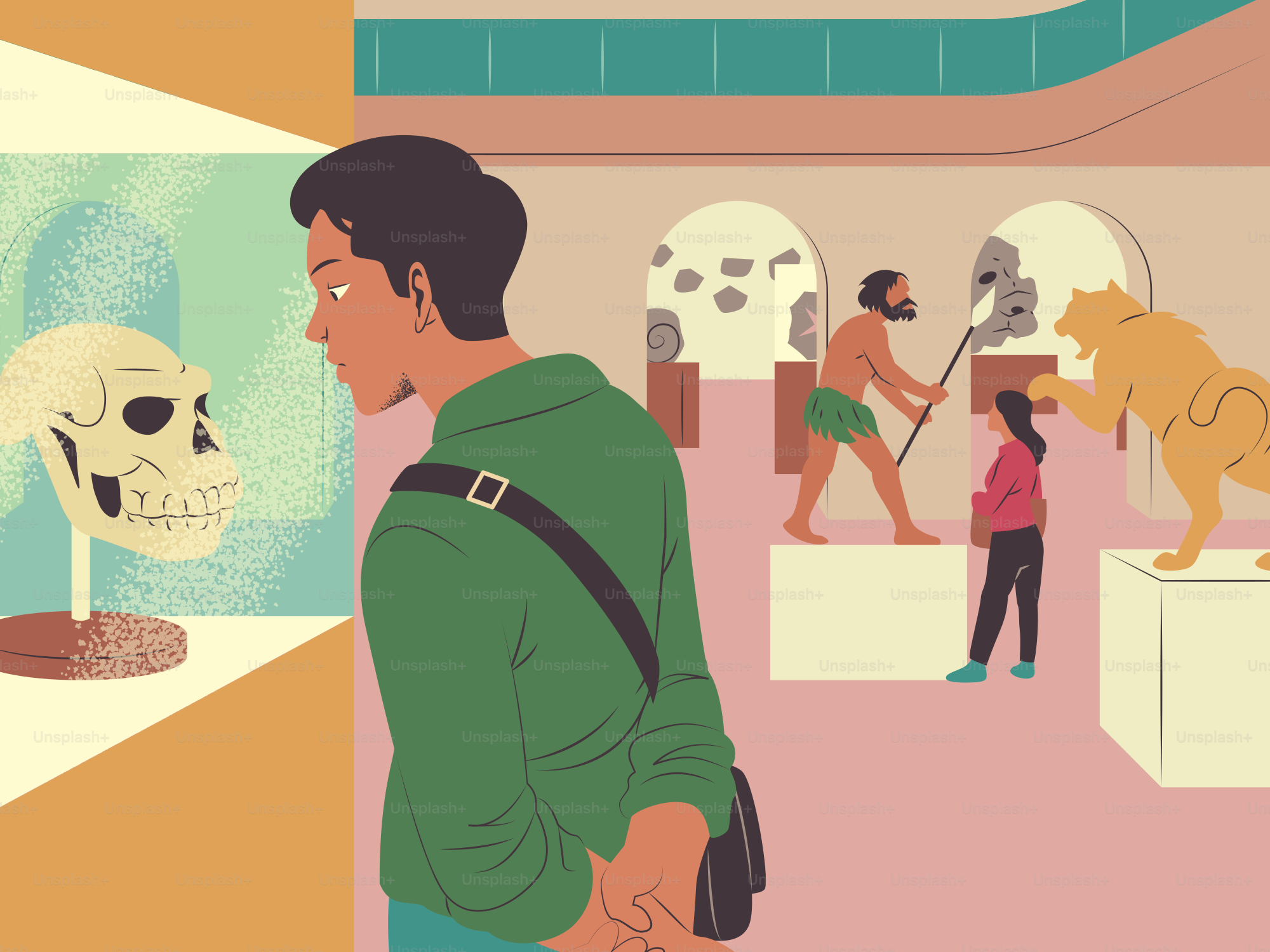 Una persona mirando un cráneo prehistórico en una exposición de museo