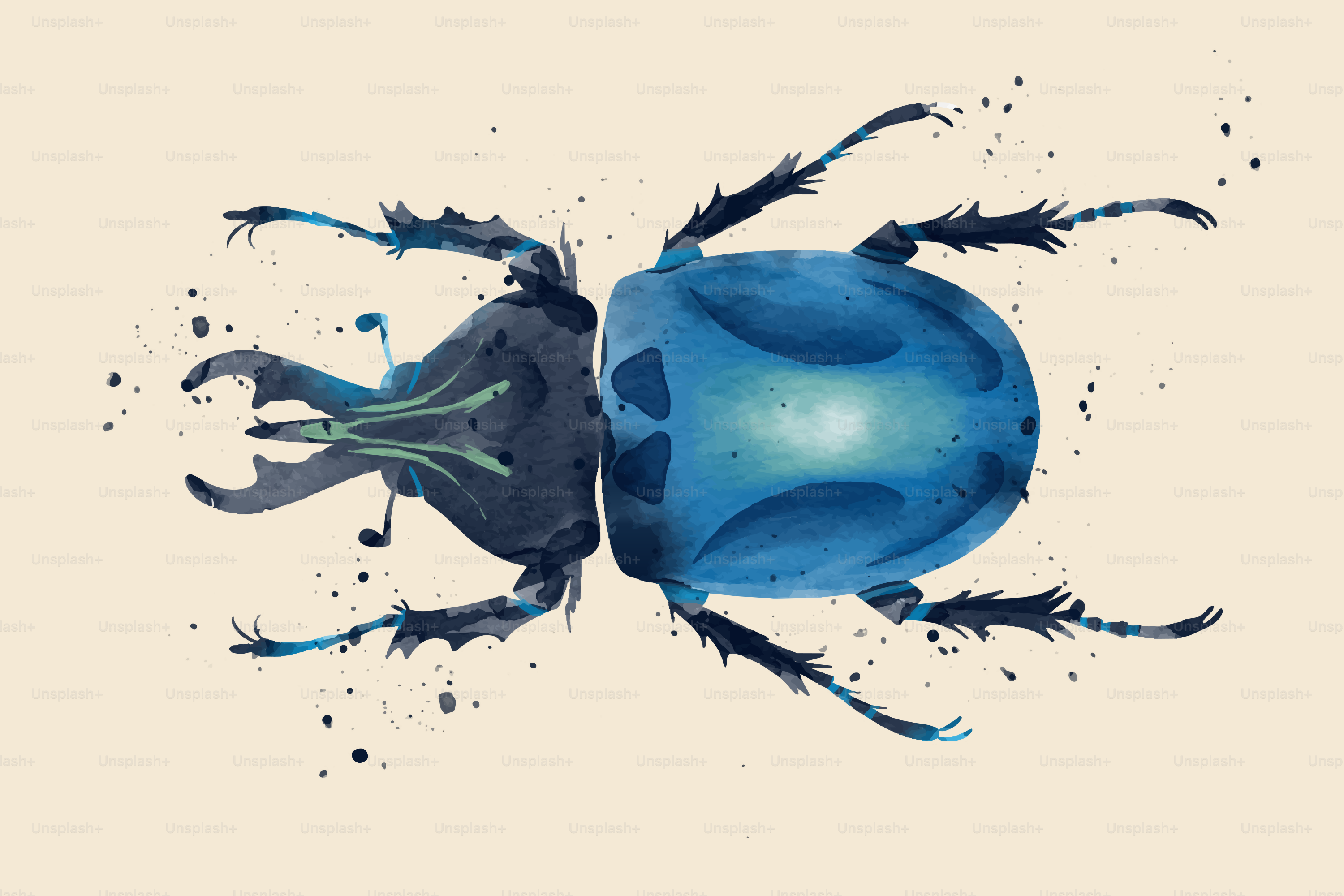 A blue beetle with dark legs and pincers on a light beige background