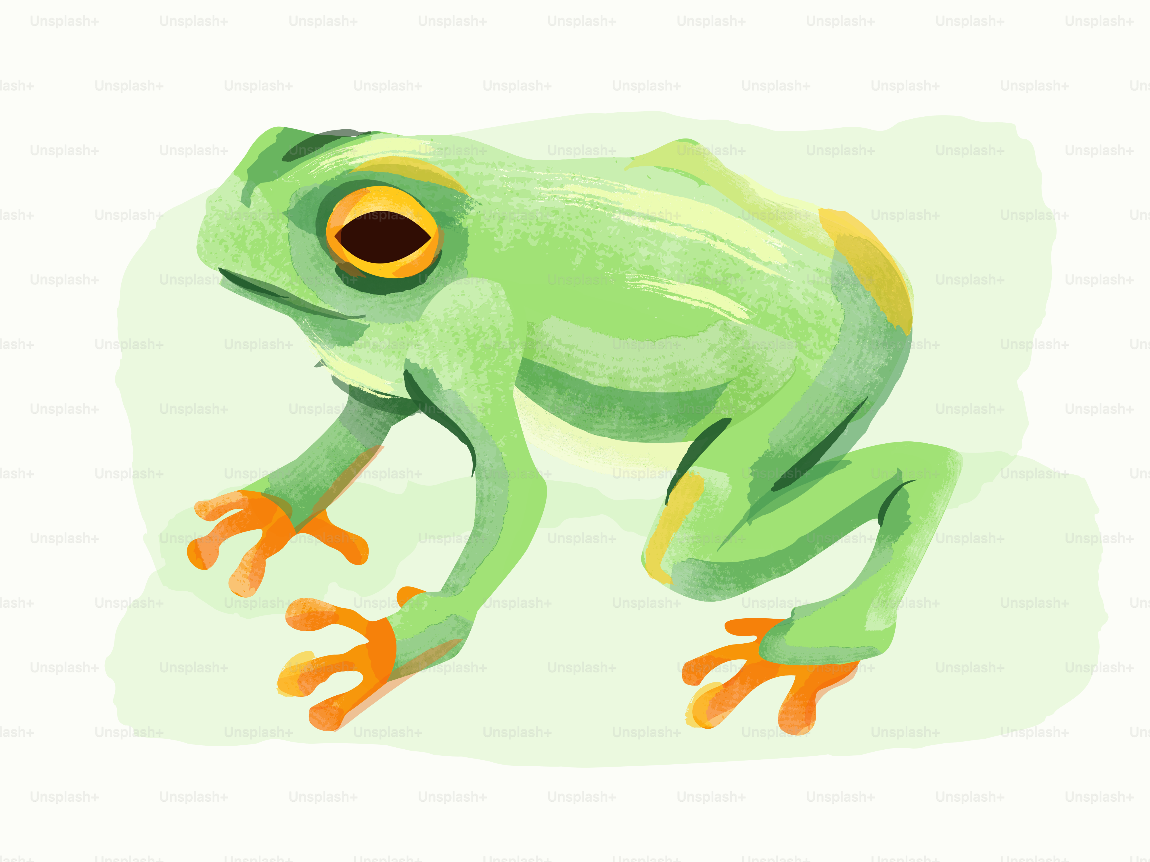 Um sapo verde com pés laranja e olhos grandes sobre um fundo claro
