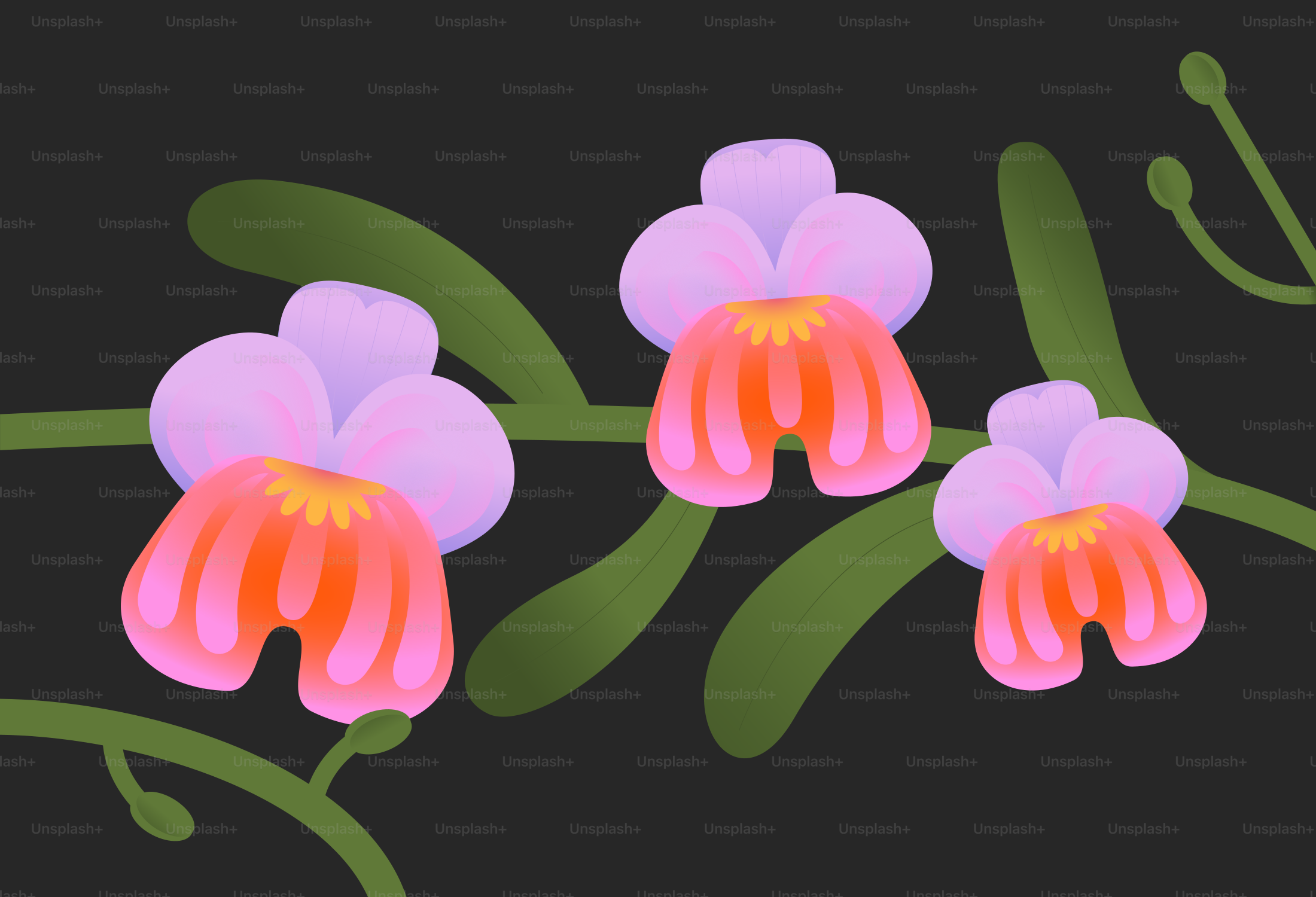 Tre fiori stilizzati rosa e arancioni su steli verdi su uno sfondo scuro