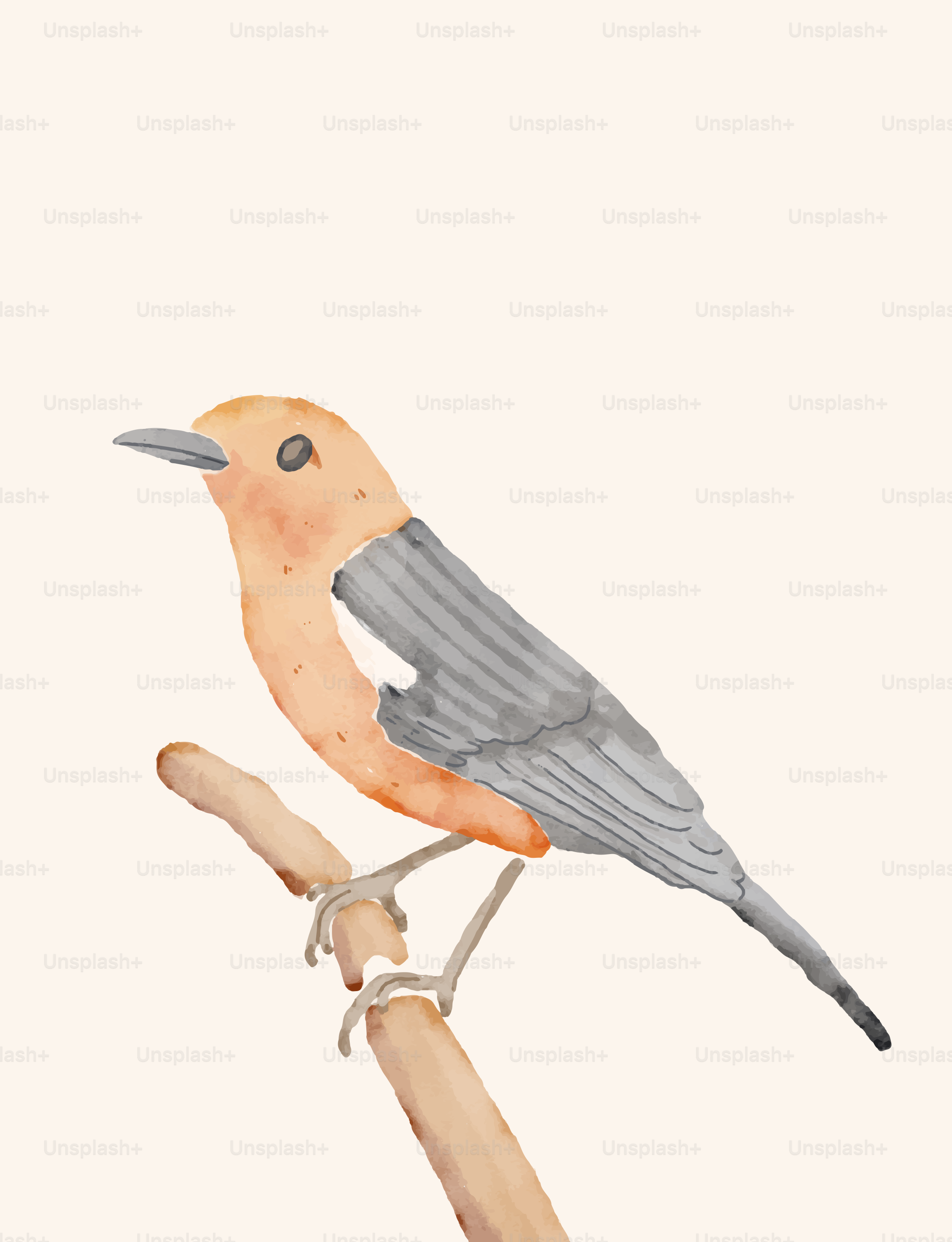 A watercolor painting of a small orange and grey bird perched on a branch