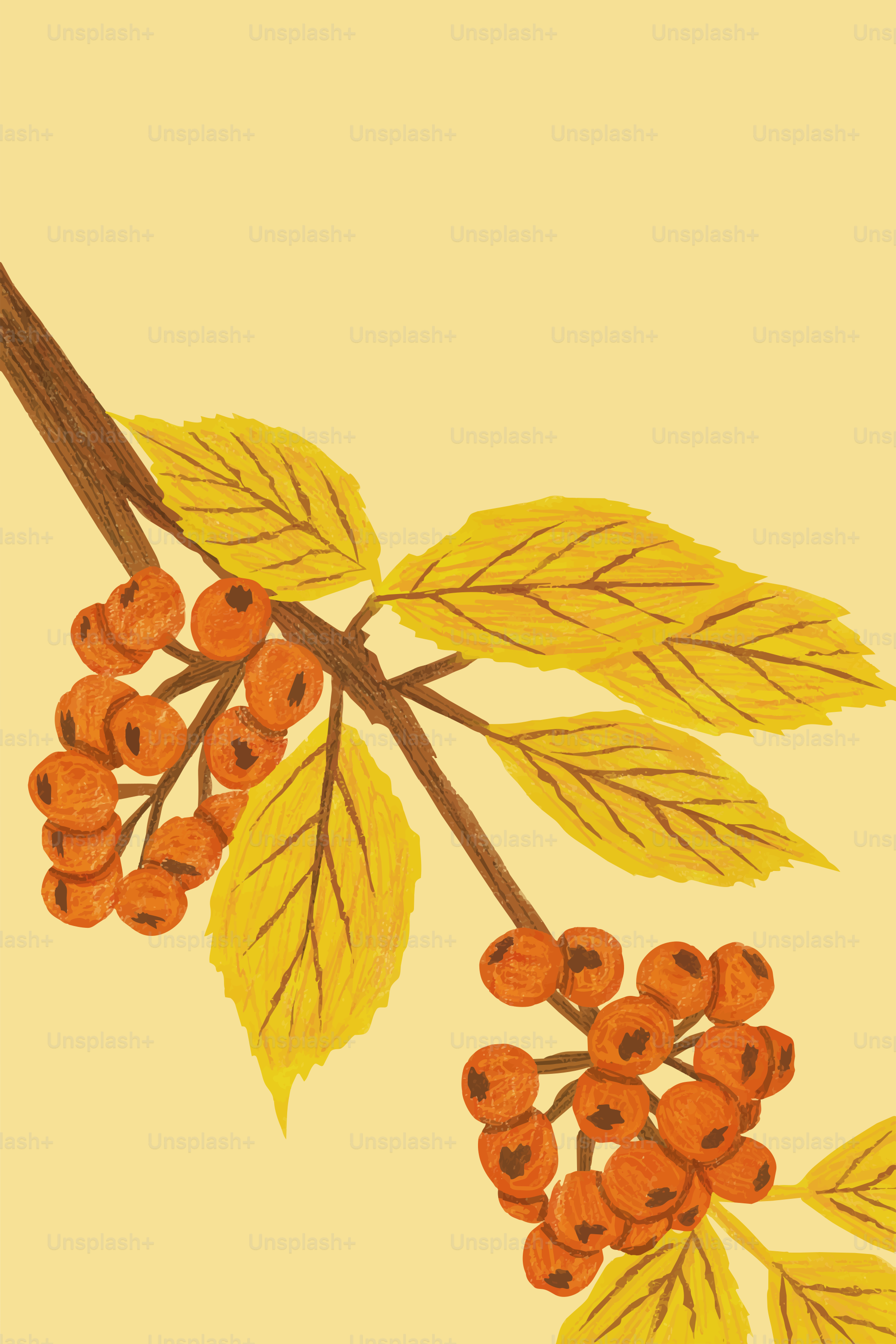 A branch with golden leaves and clusters of orange berries on a yellow background